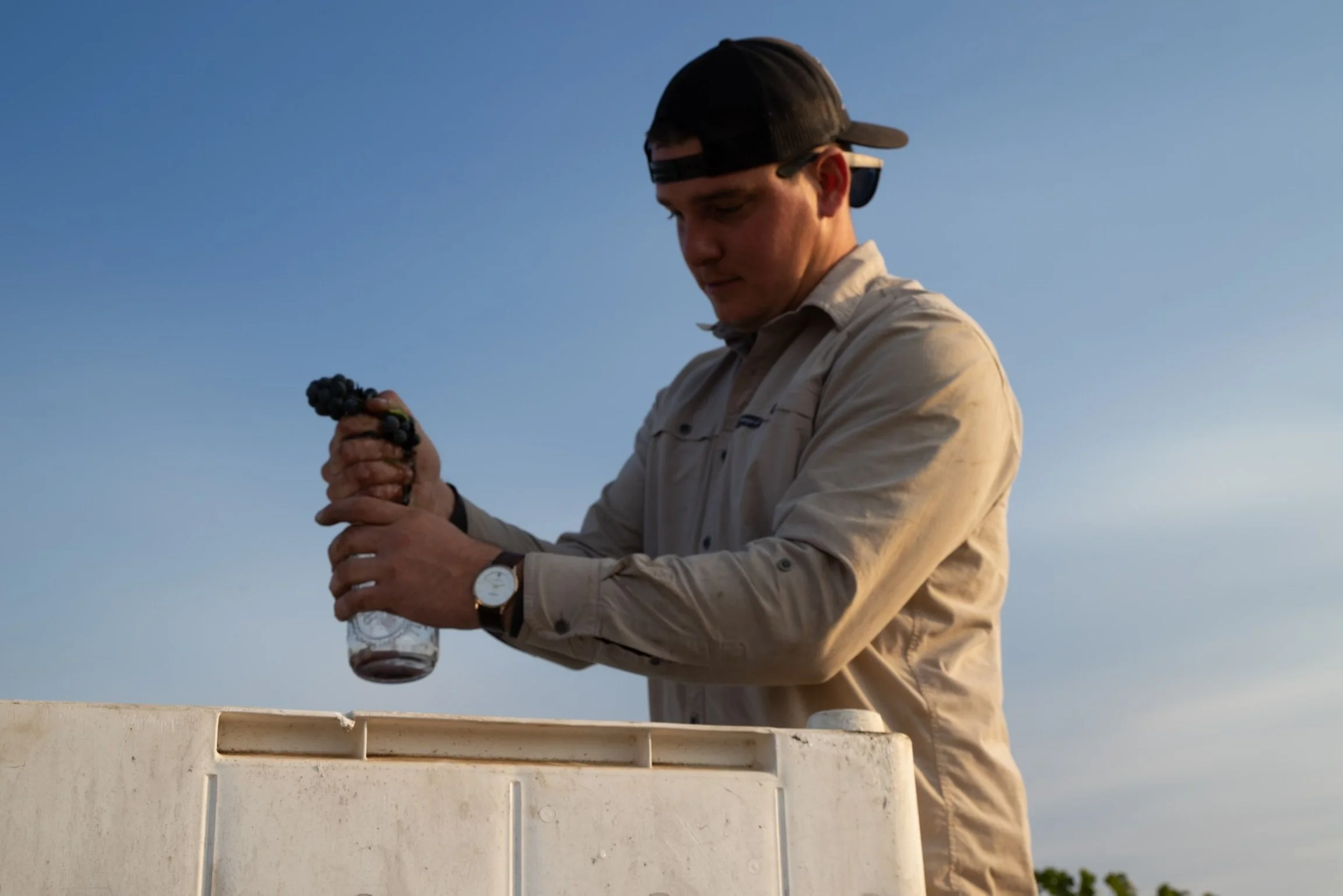 A young man wearing a beige shirt, black cap, and watch, holds a bunch of grapes over a clear glass container against a blue sky background.