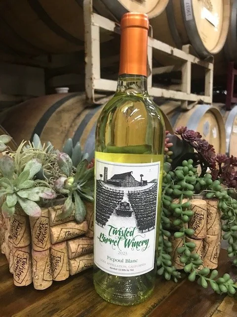 A bottle of white wine labeled 'Twisted Squirrel Winery' with an illustration of a squirrel and a barn on the label, surrounded by succulents and close to wine barrels in the background.