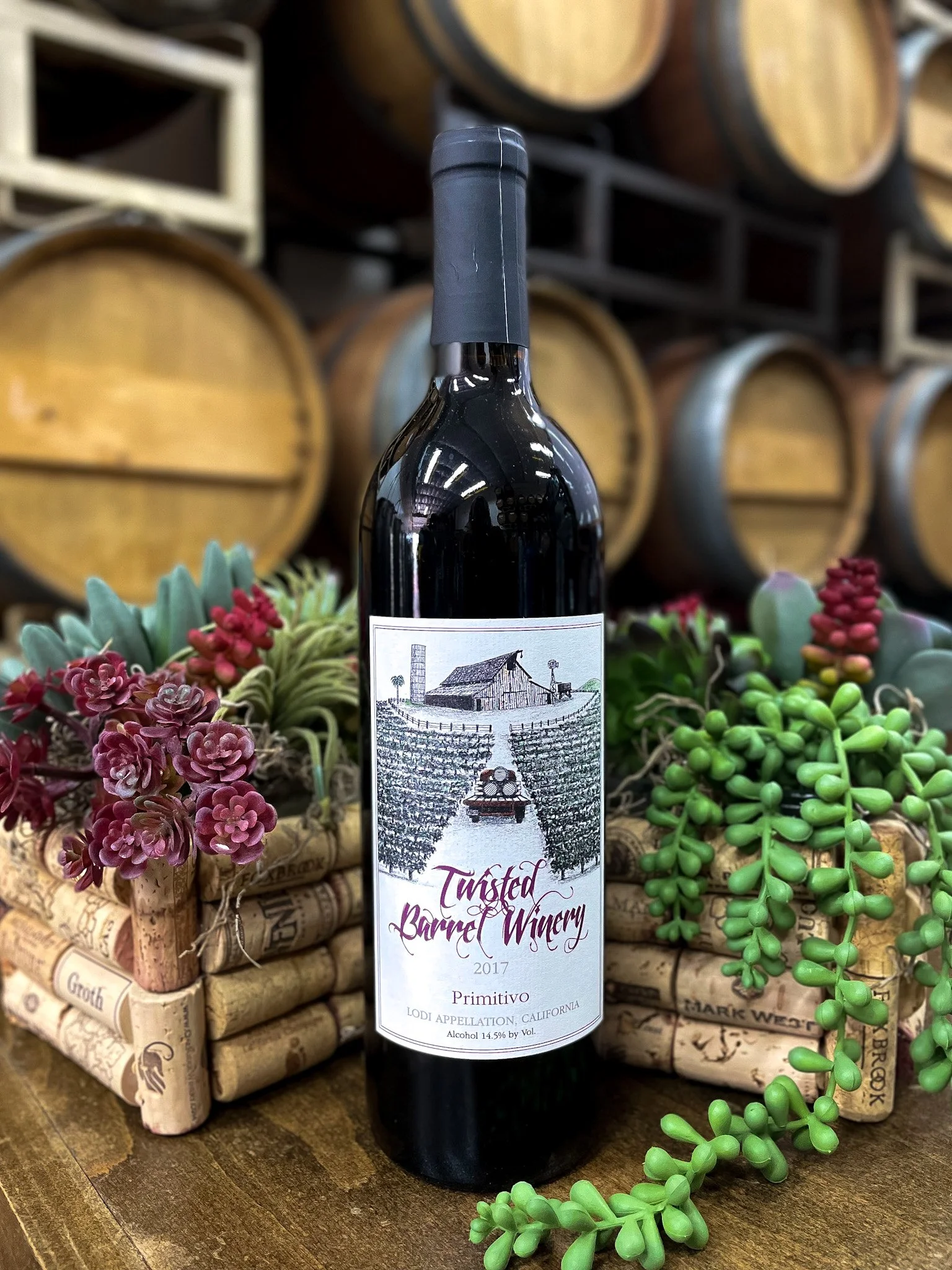A bottle of Twisted Barrel Winery Primitivo wine with a label showing a barn and vineyard, surrounded by succulents and wine barrels in a winery setting.