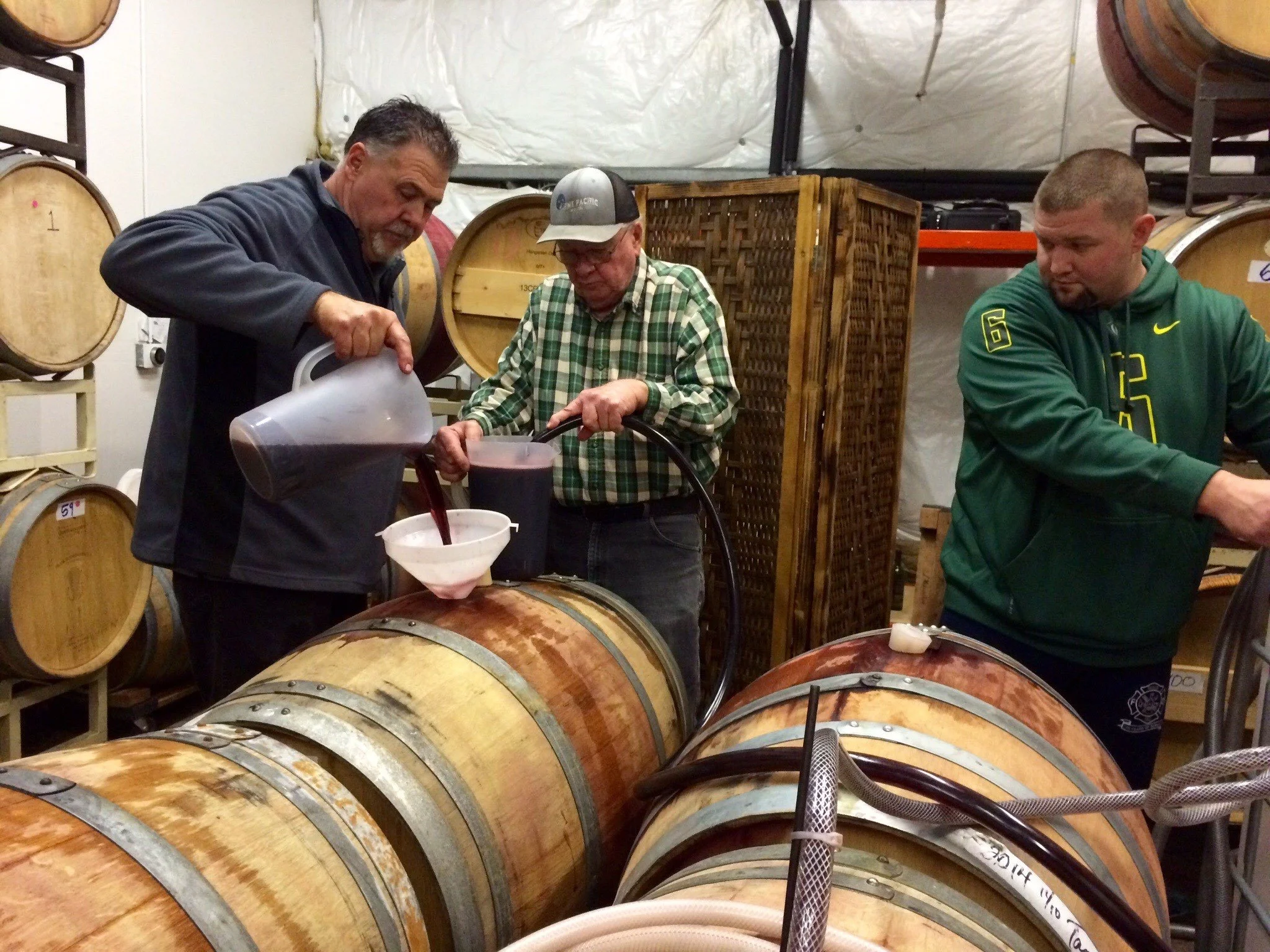 Three men are working in a winery or brewery with large wooden barrels and equipment, pouring red wine or juice from containers into a barrel.