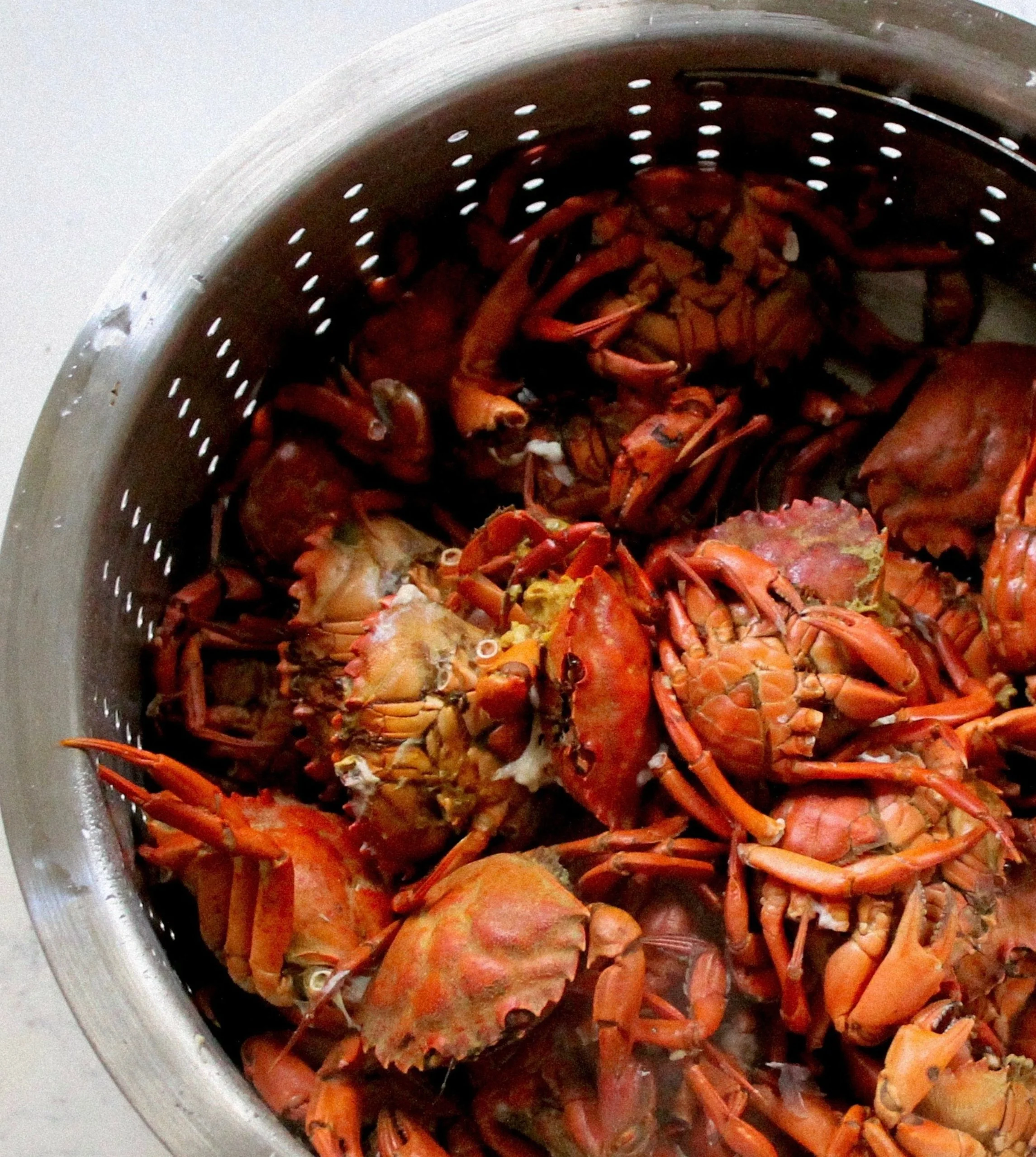 Invasive European Green Crab in Stock, photo from GreenCrab.org