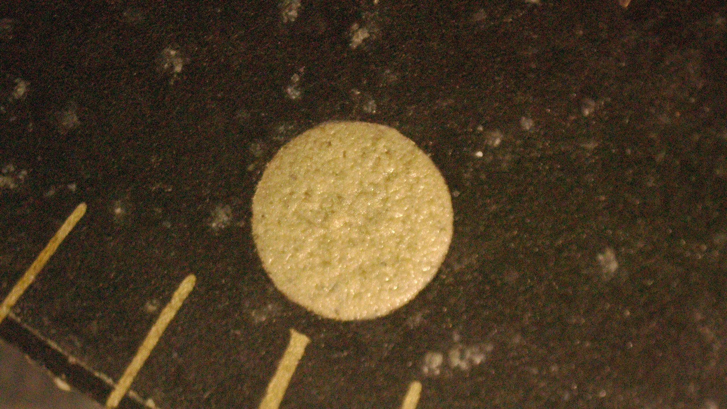 1000085521.jpg
