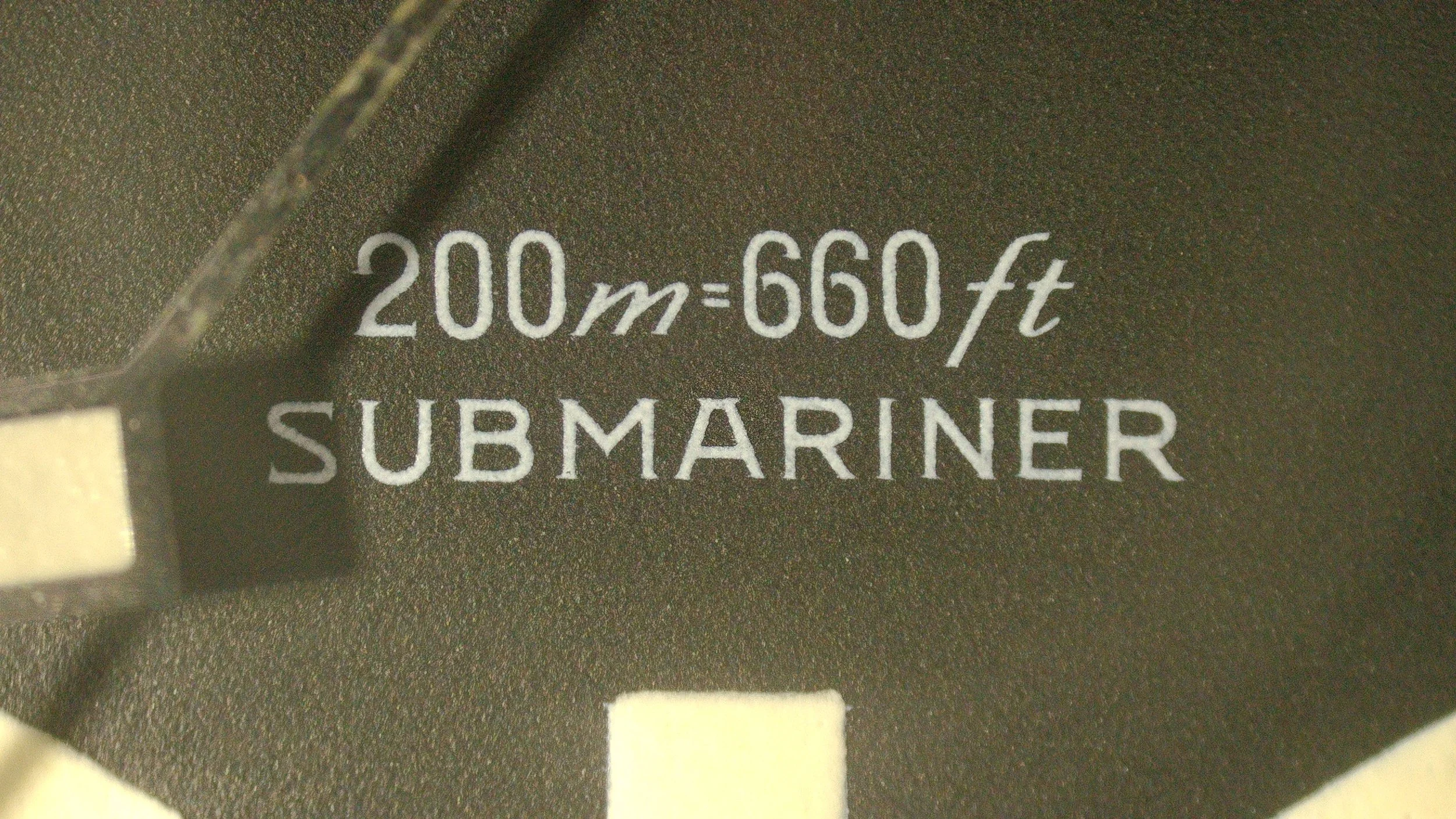 1000085526.jpg