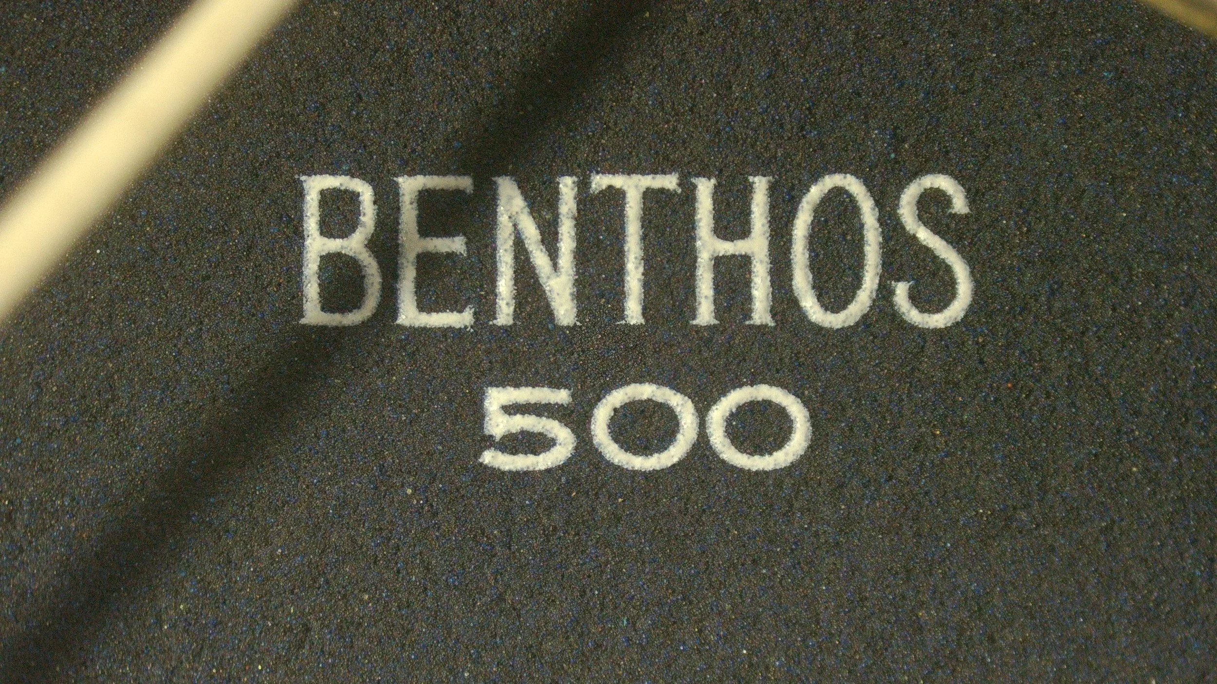 1000085517.jpg