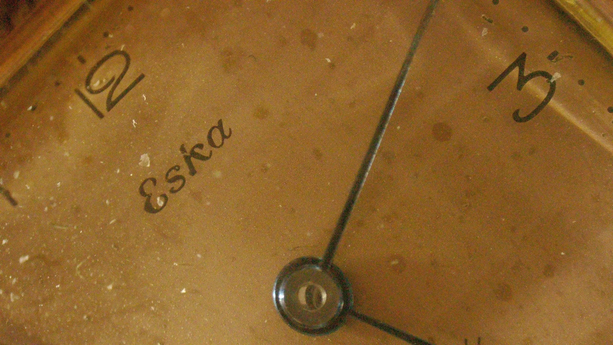 1000085534.jpg