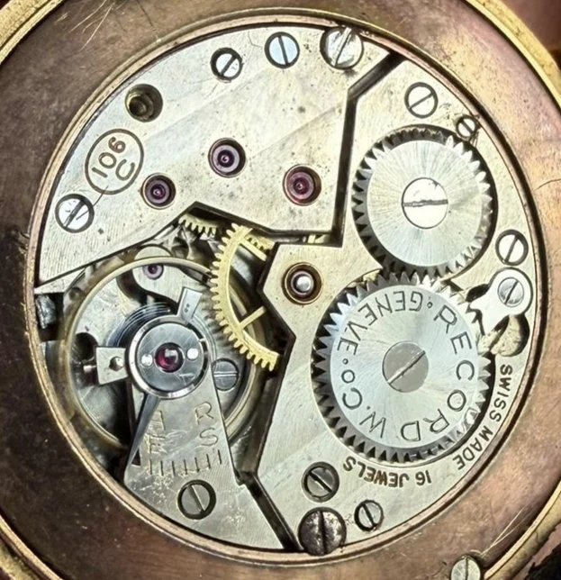 1000080685.jpg