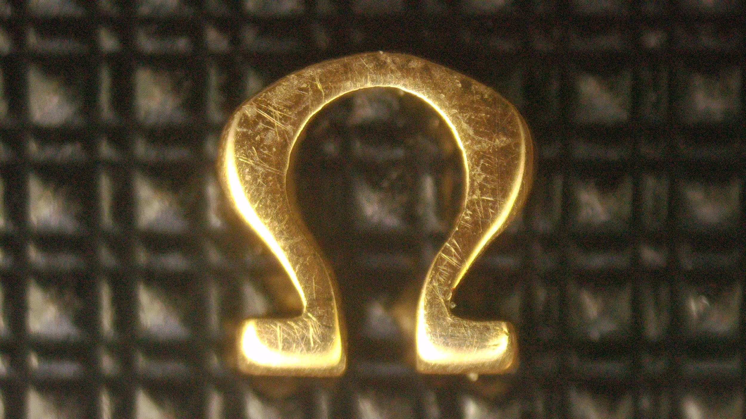 1000085529.jpg
