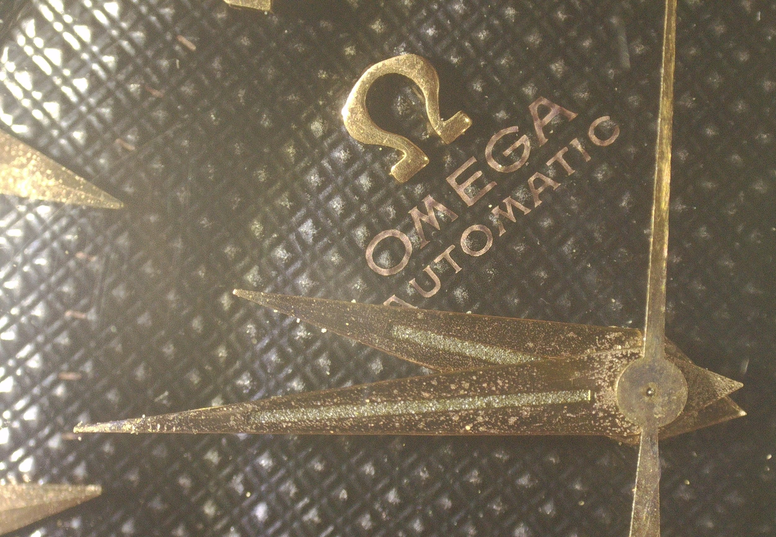 1000085536.jpg