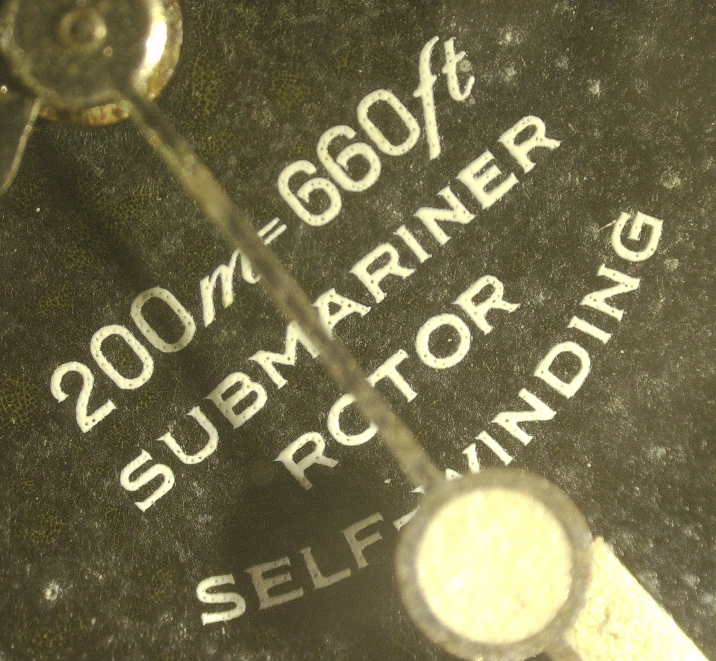 1000085542.jpg