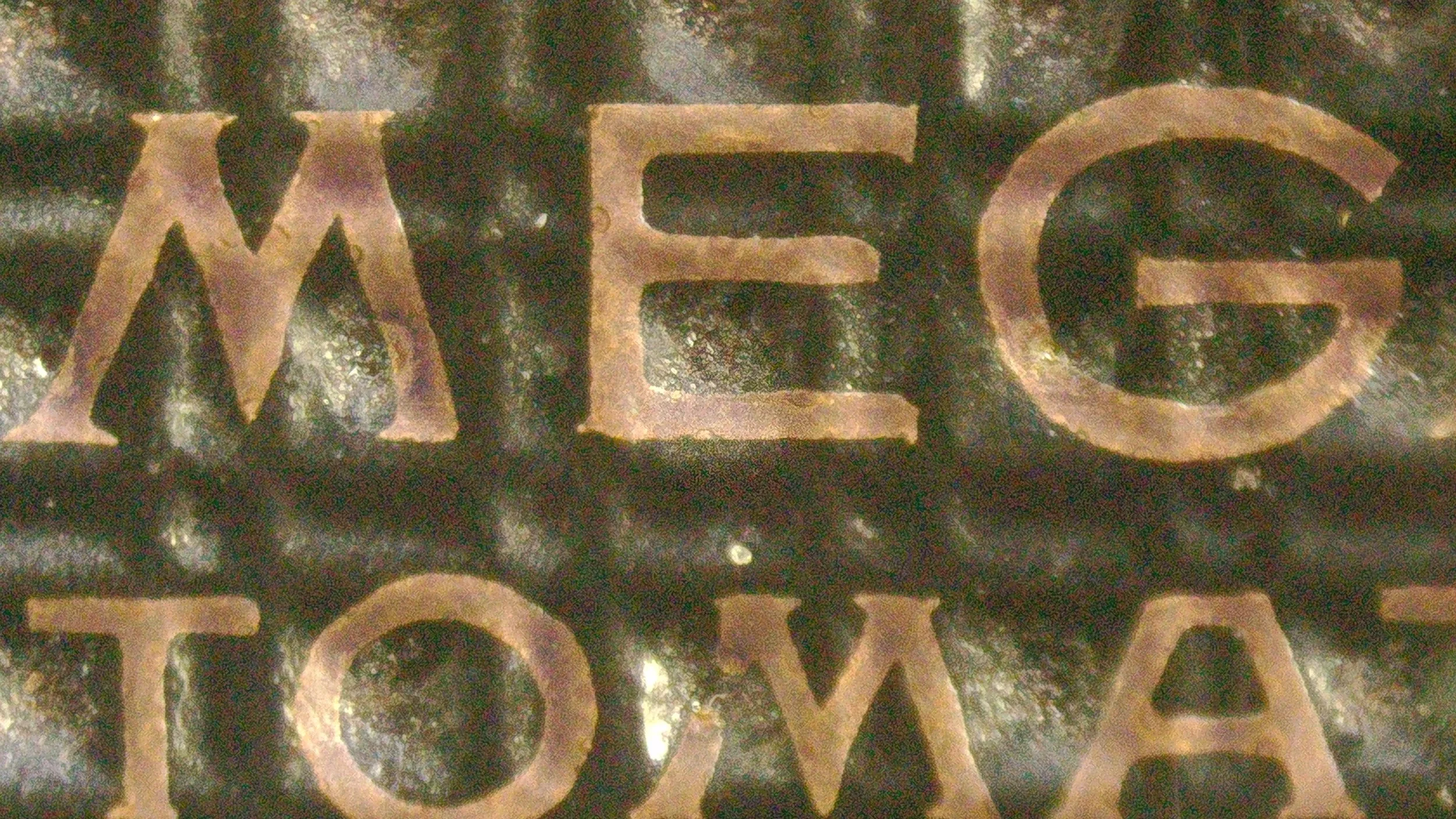 1000085528.jpg