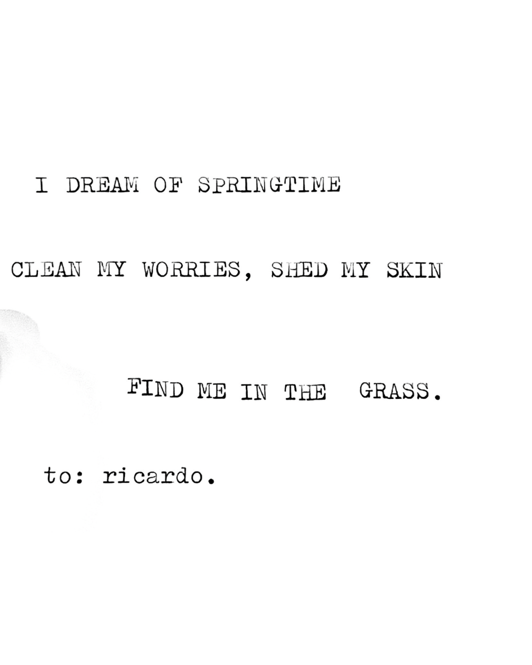 Untitled design - 29.PNG