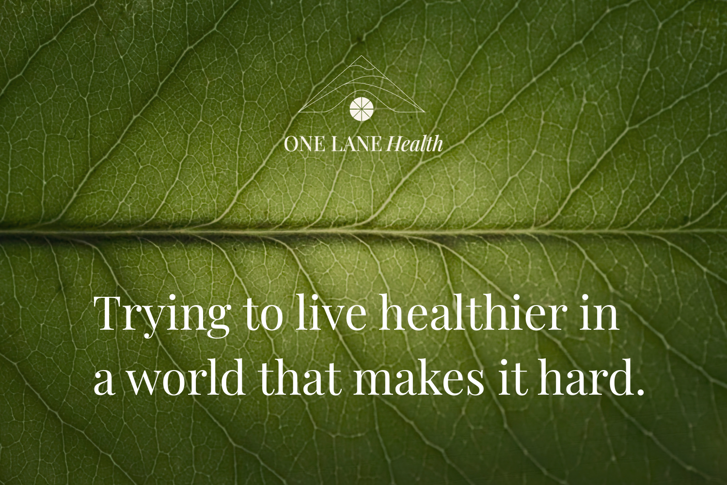 Trying to live healthier in a World that makes it hard.