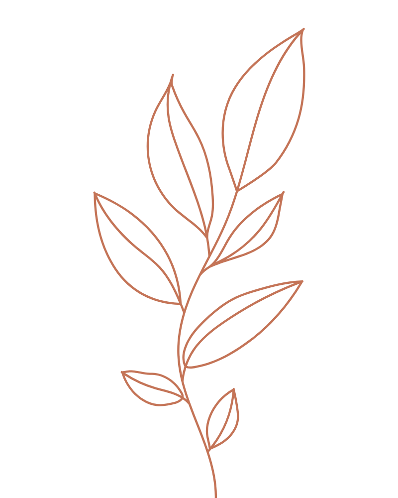 A simple, minimalist line drawing of a plant with multiple elongated leaves on a black background.