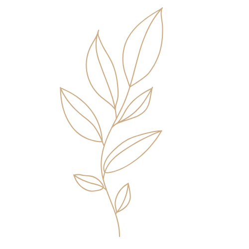 A minimalist line drawing of a plant with several elongated leaves on a black background.