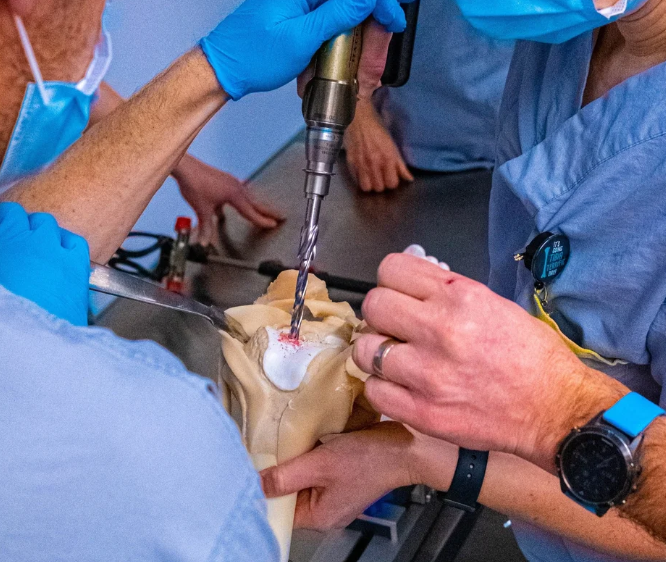 Knee arthroplasty training model