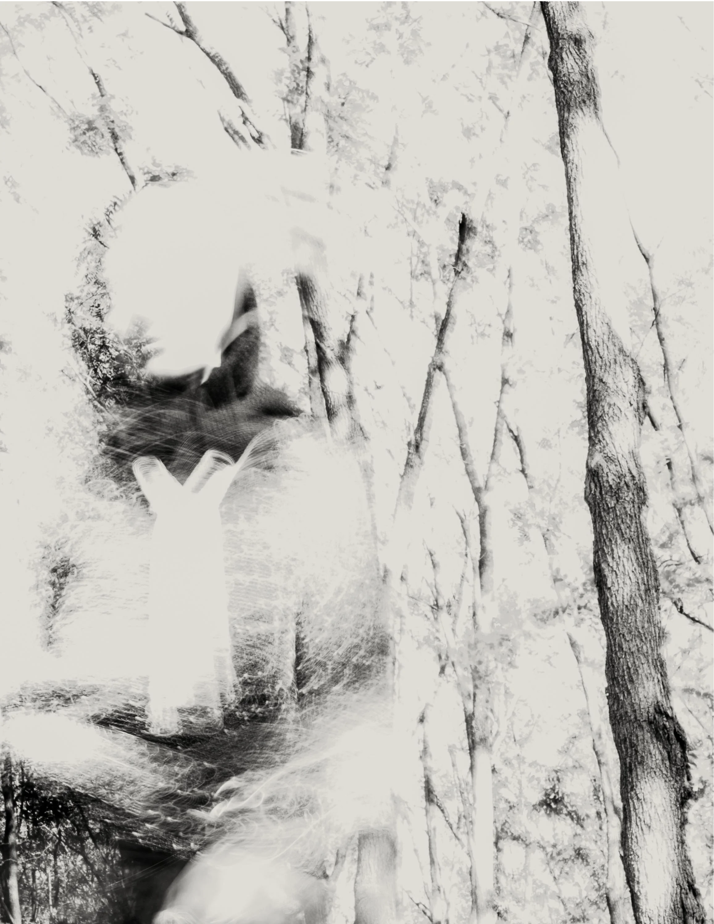 ISSUE 09 FINAL COPY (ISSUU PDF Downloader)_Page_25.png