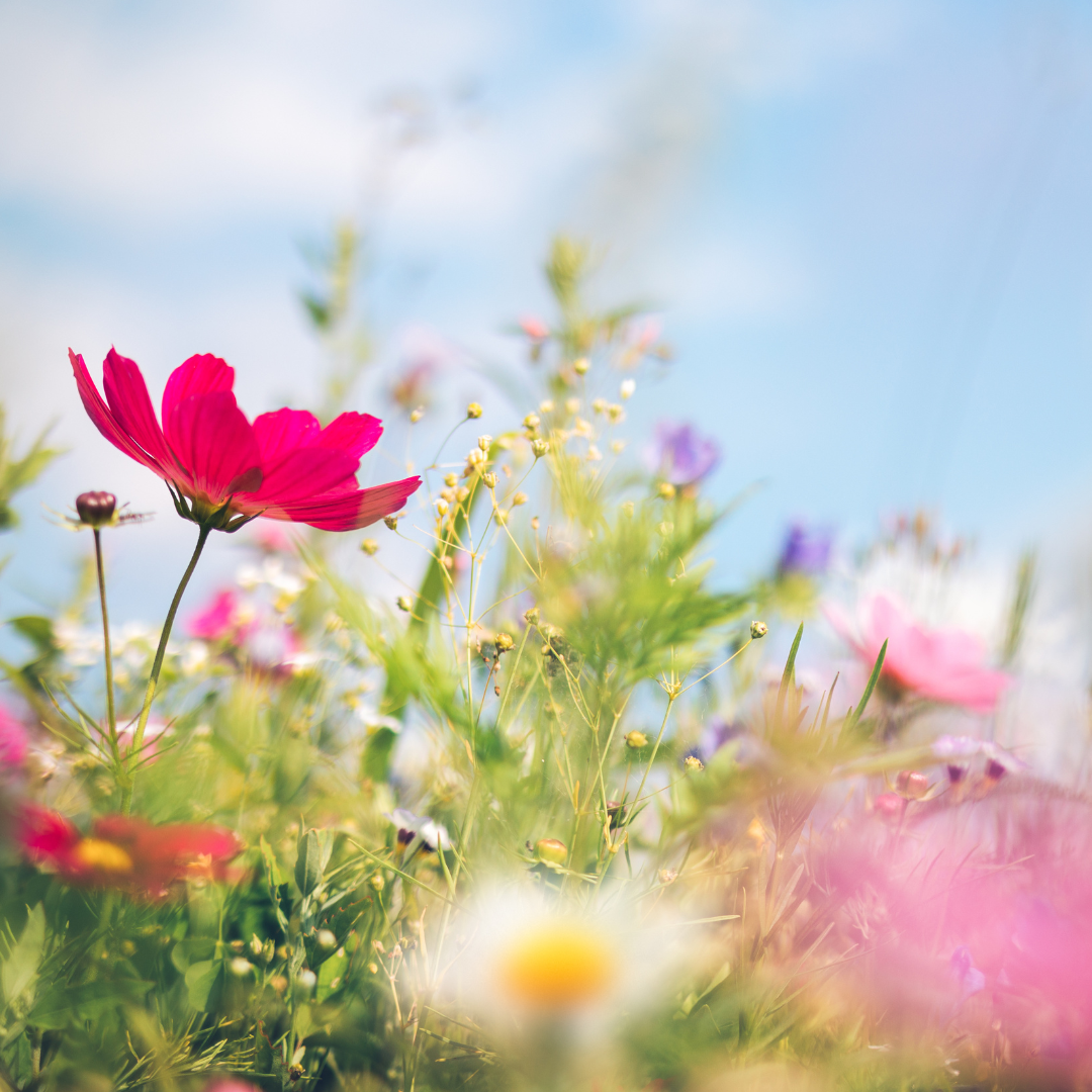 Spring Sister Circle | March 21, 2026