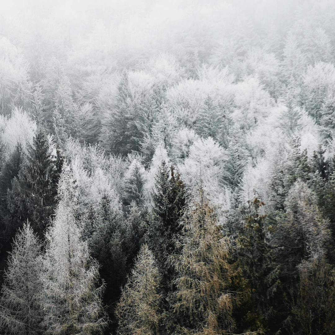 Winter Sister Circle | December 19, 2026