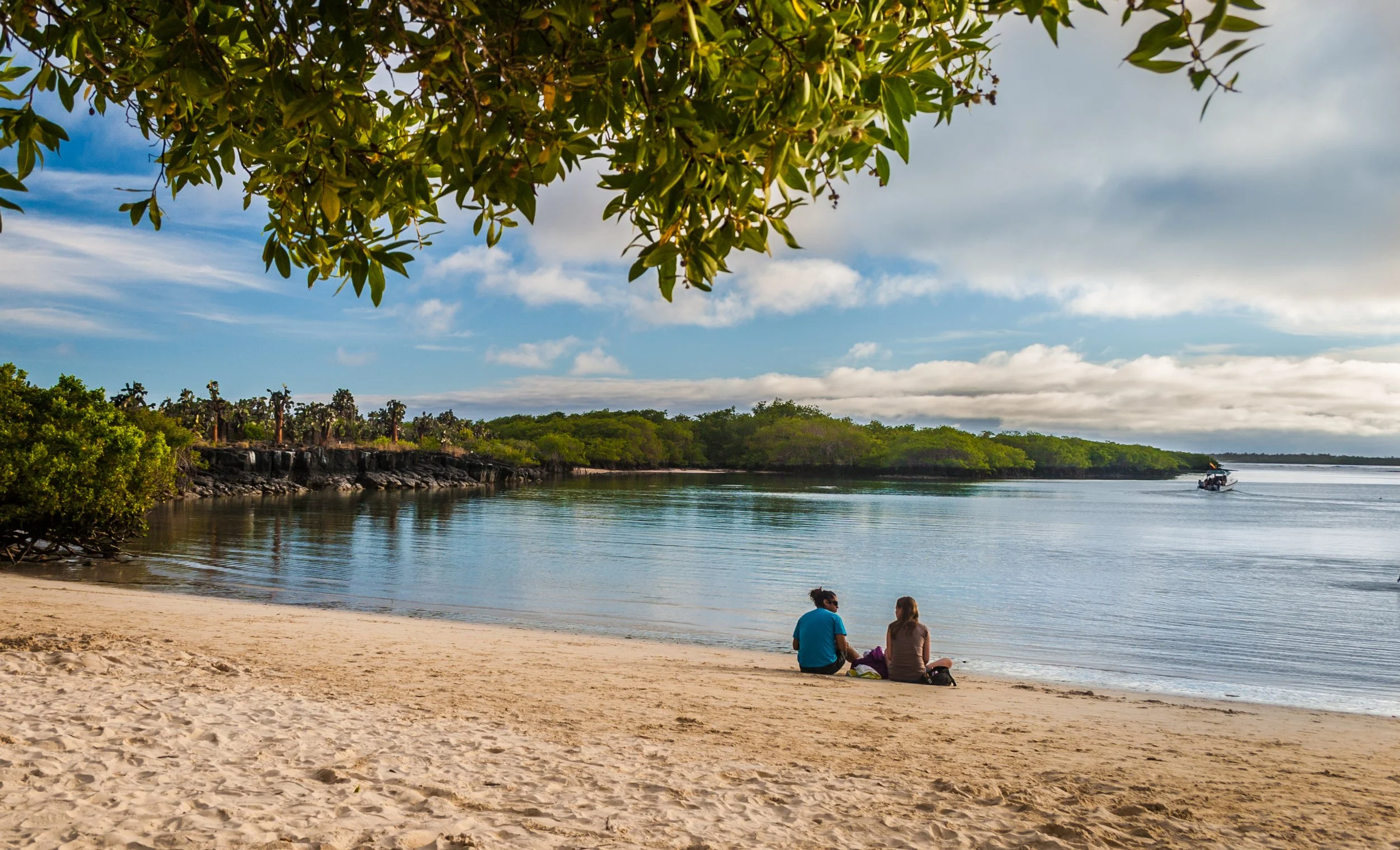 When is the best time to visit the Galápagos Islands?