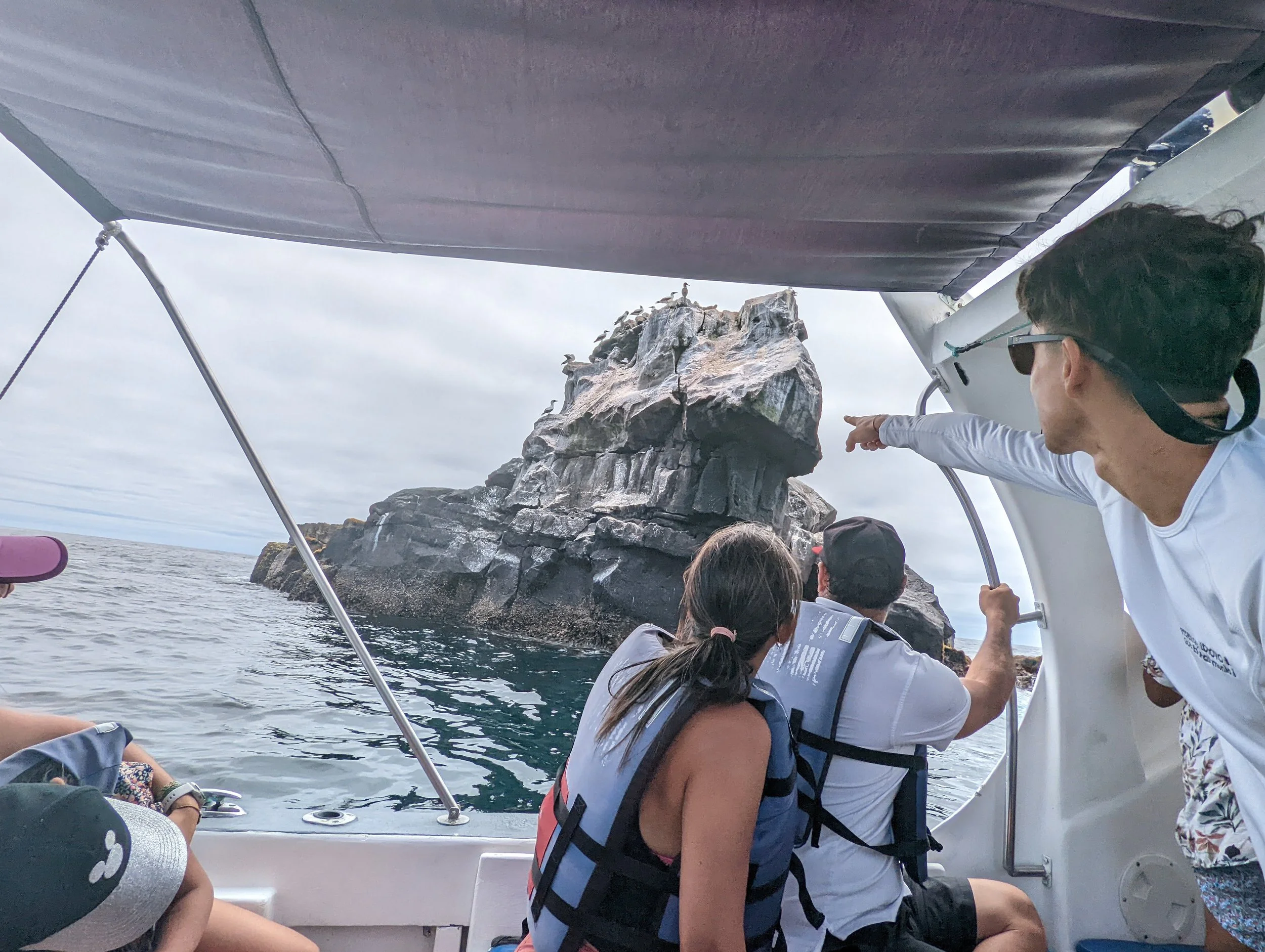 PXL_20211229_170501200 (1).jpg