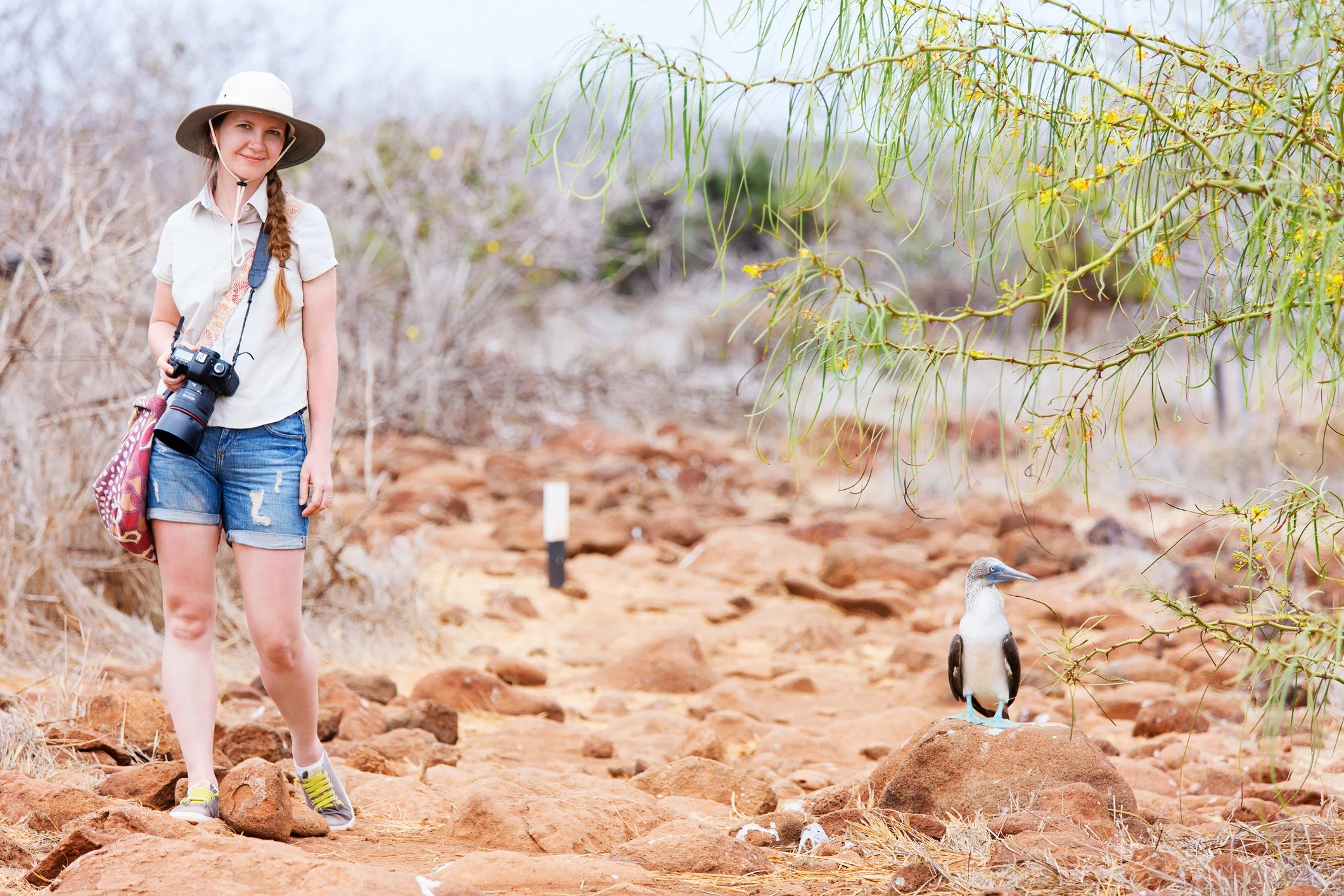 Woman standing near Blue-footed Booby in Galapagos