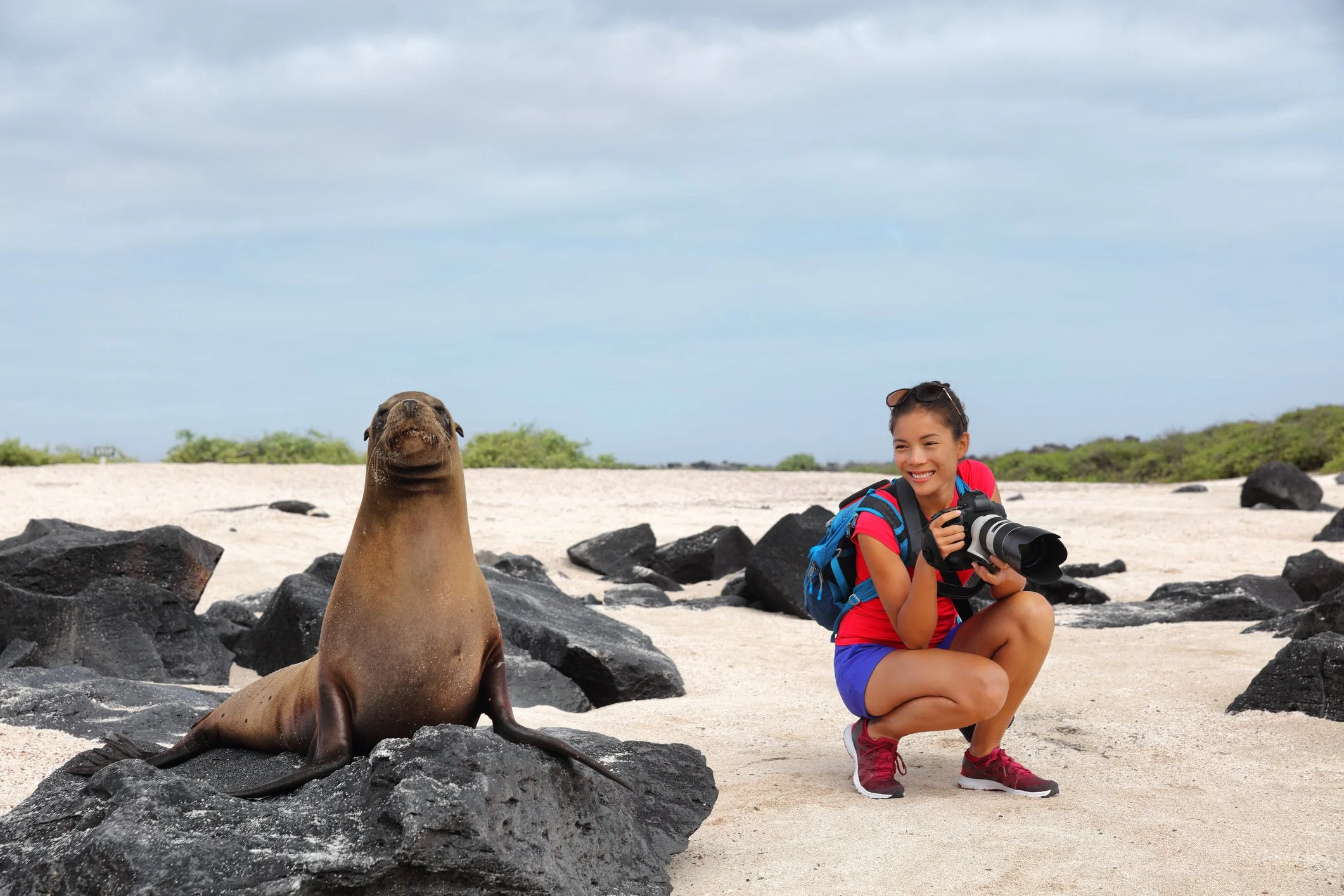 Woman taking photo of sea lion in Galapagos