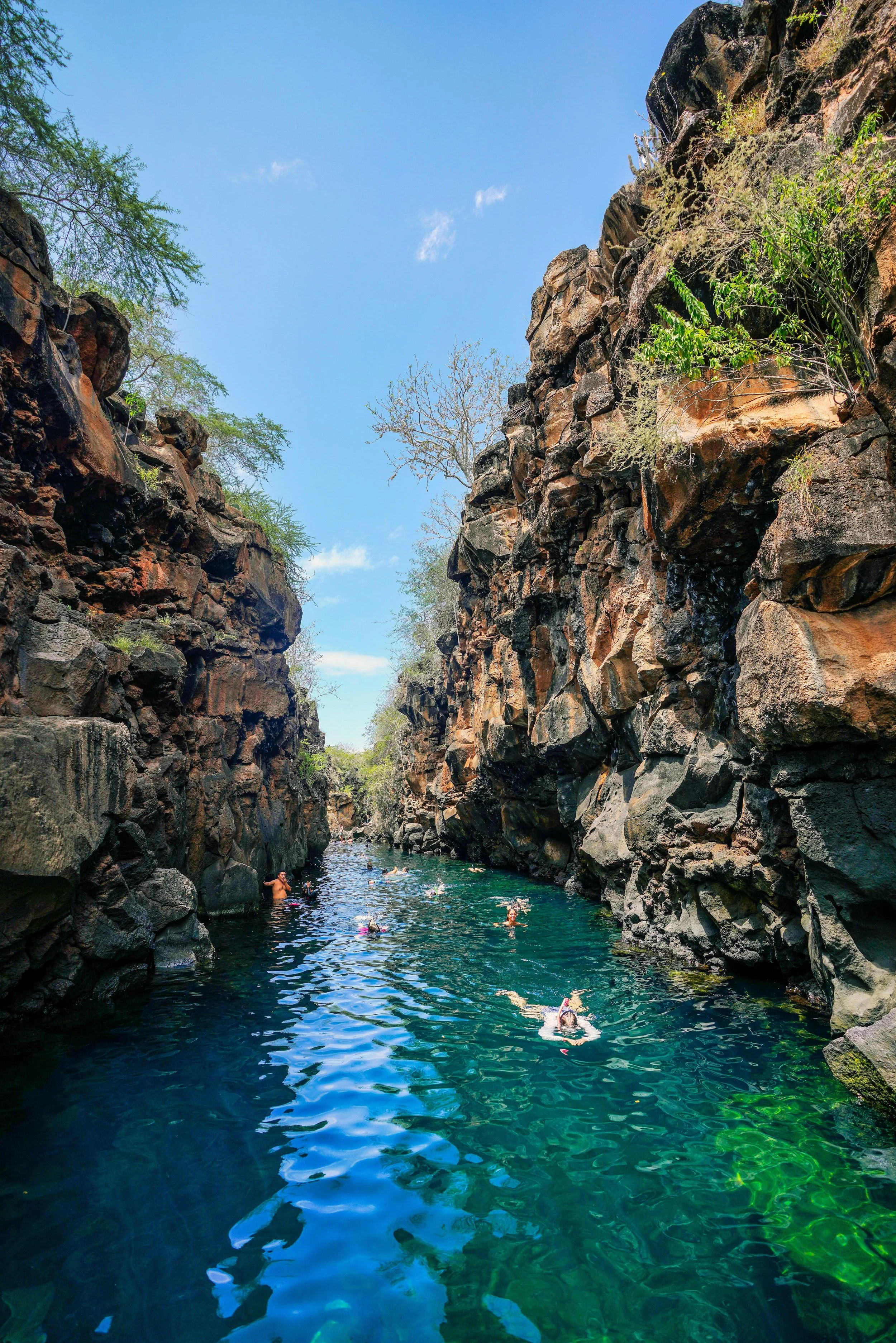 People swimming in a narrow, rocky canyon with a clear blue sky overhead.