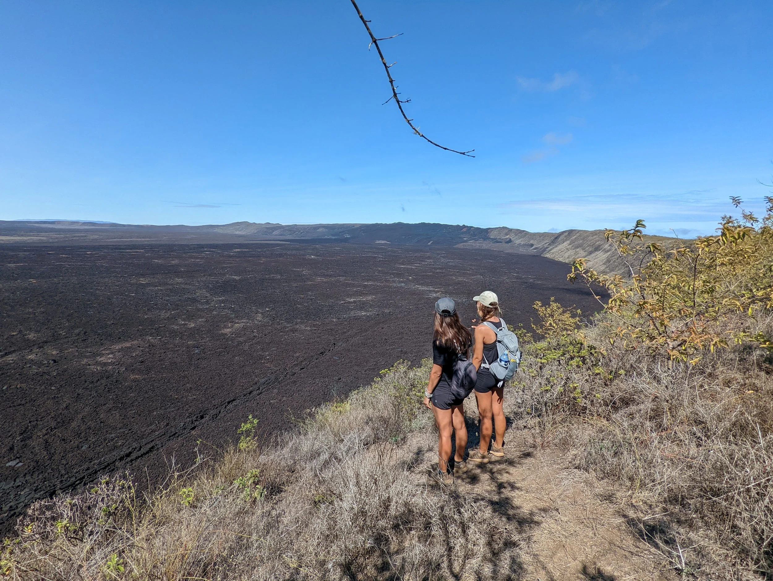 PXL_20211227_145013626 (1).jpg