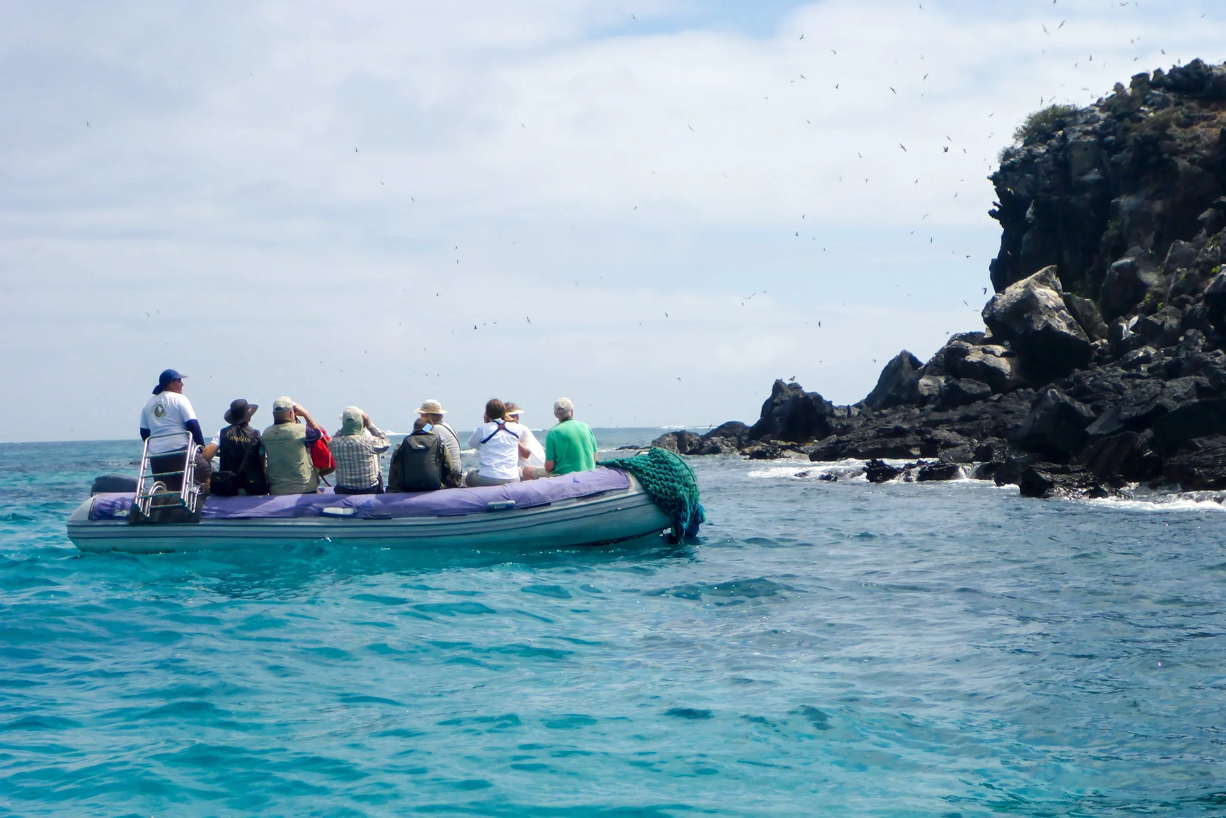 punta-pitt-birdwatching-galapagos