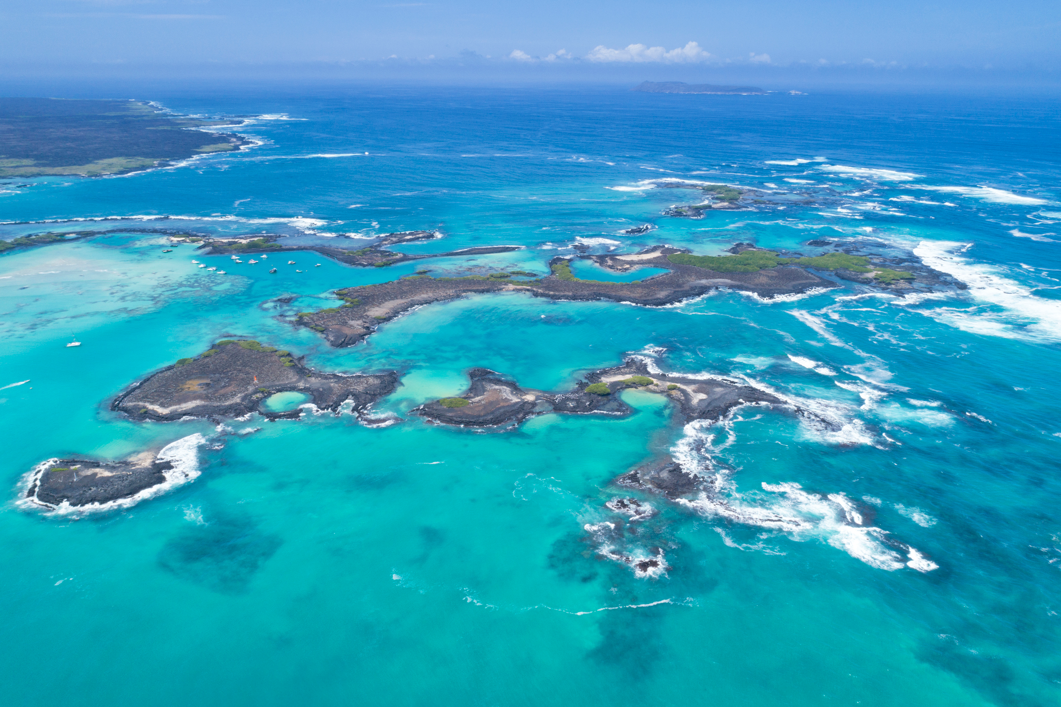tintoreras-islet-isabela-galapagos.webp