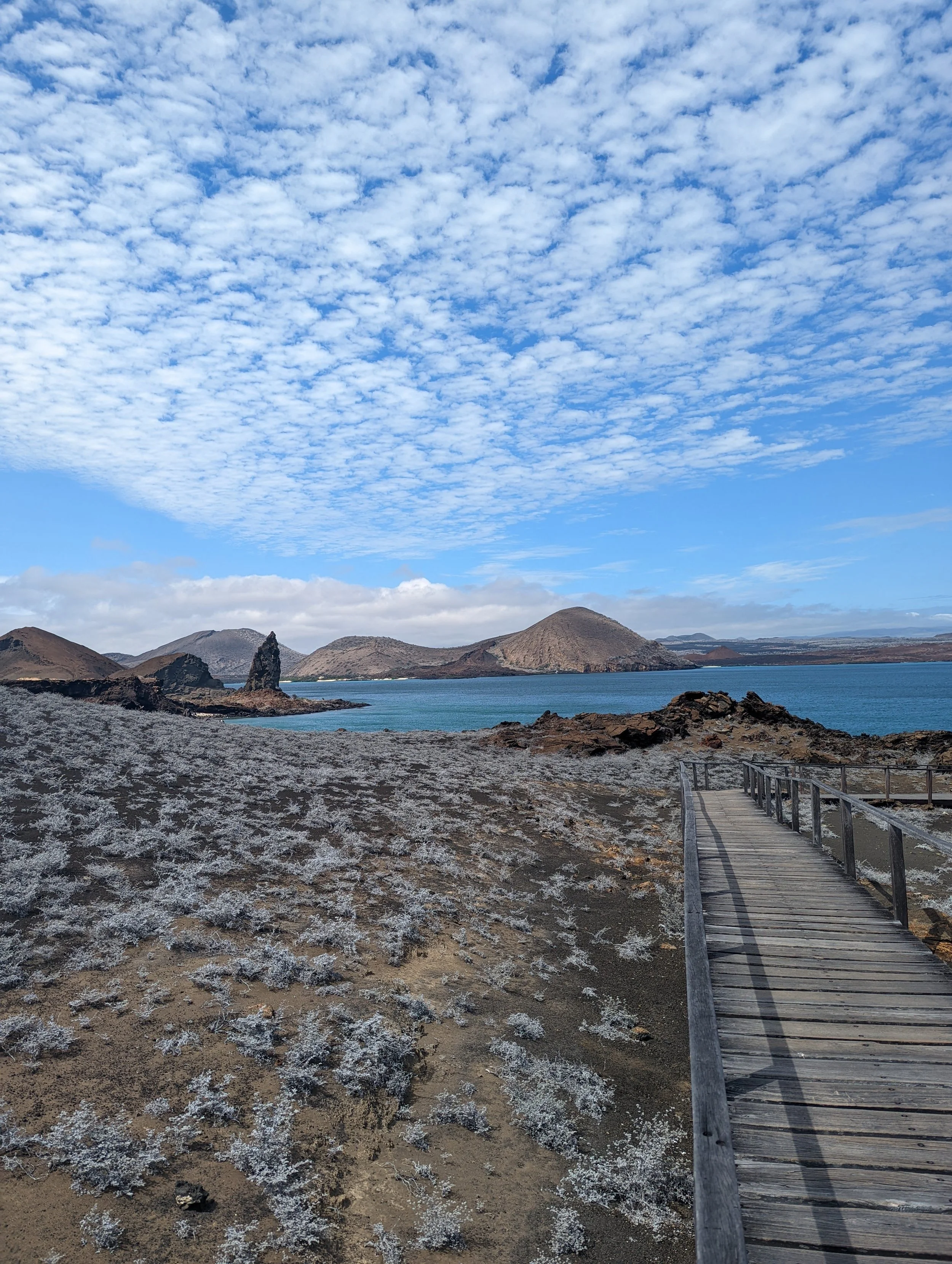 PXL_20211212_150055856 (1).jpg