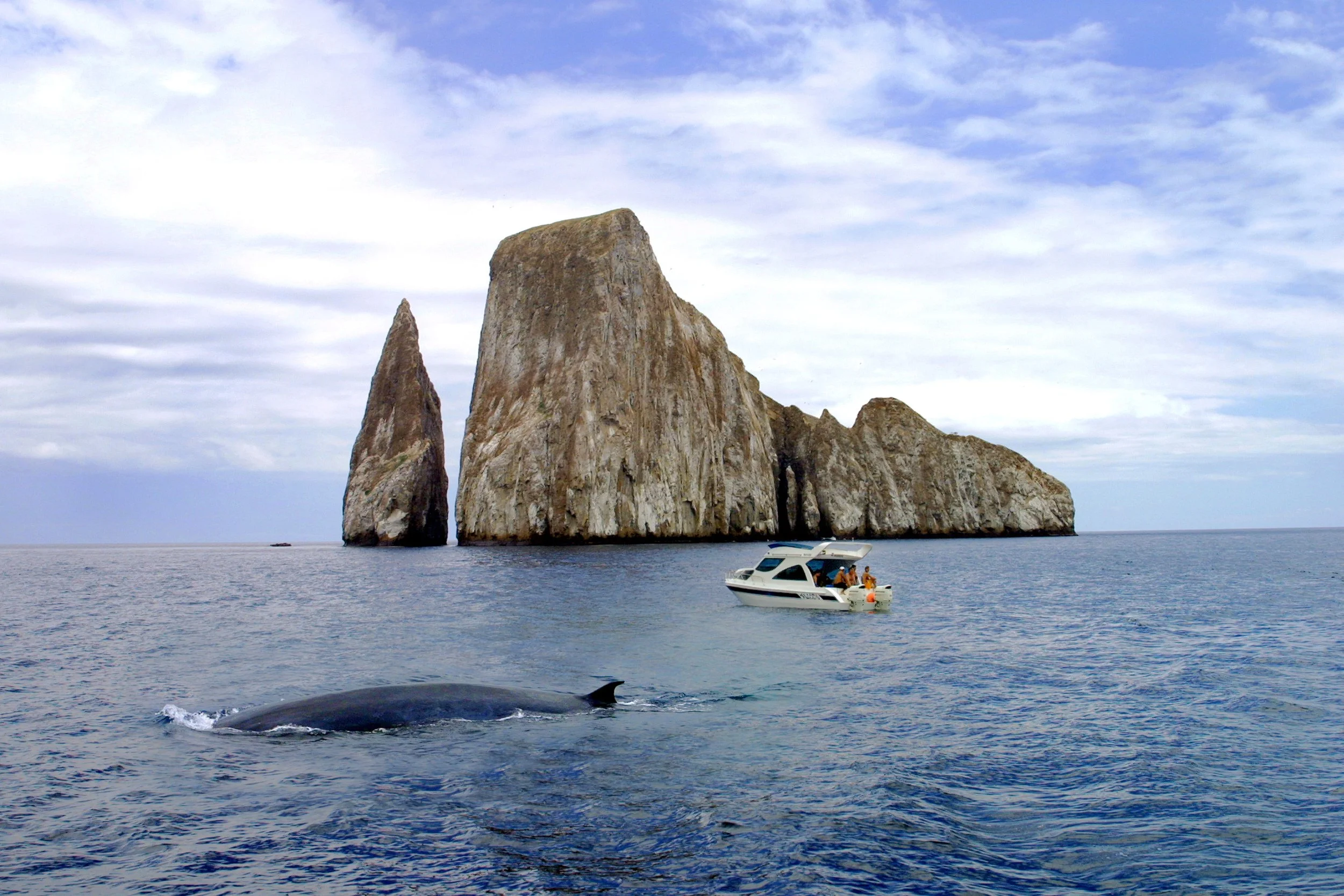 Kicker Rock Day Tour