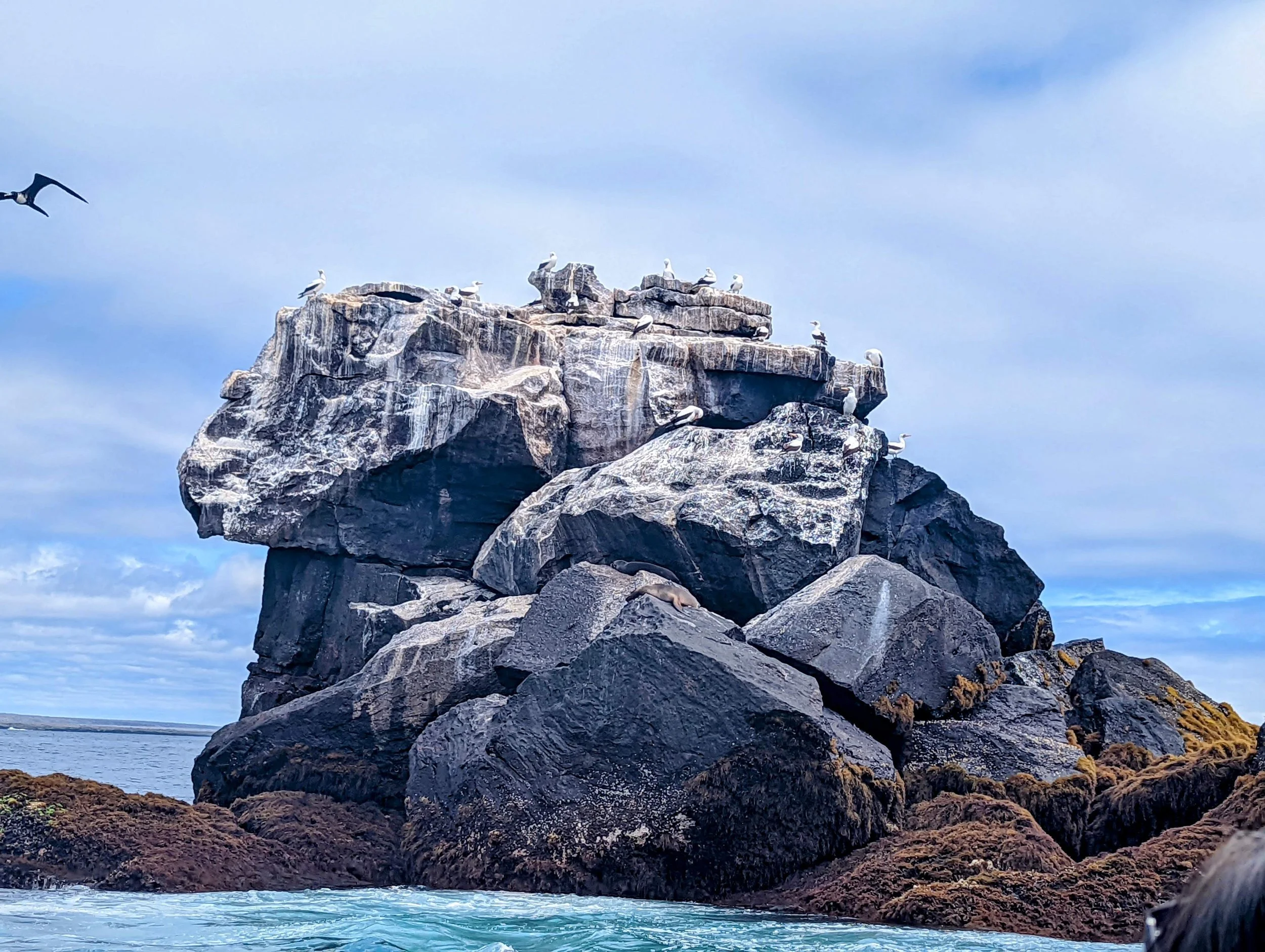 PXL_20211229_170539574~2 (1).jpg