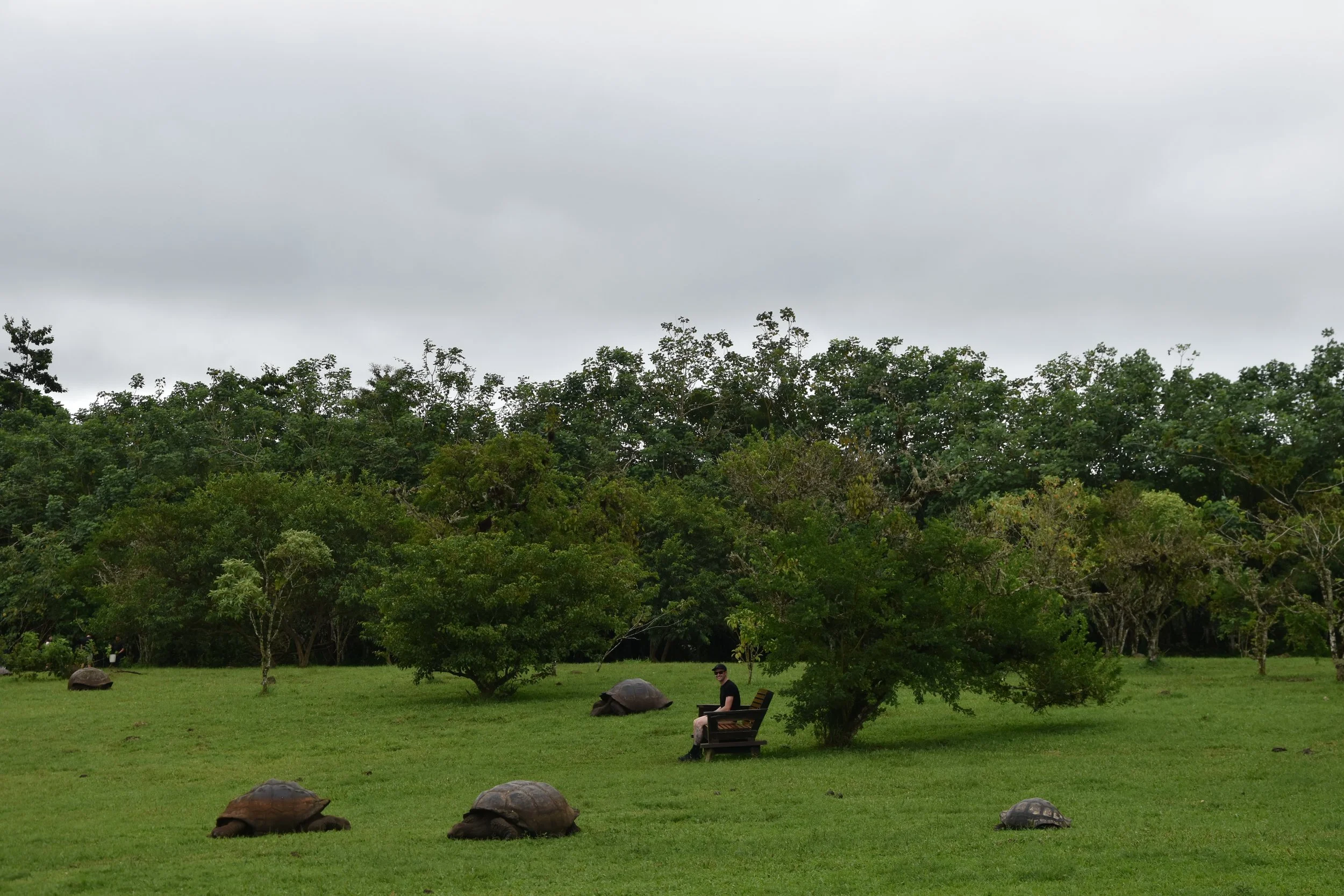 giant-tortoise-ranch.jpg