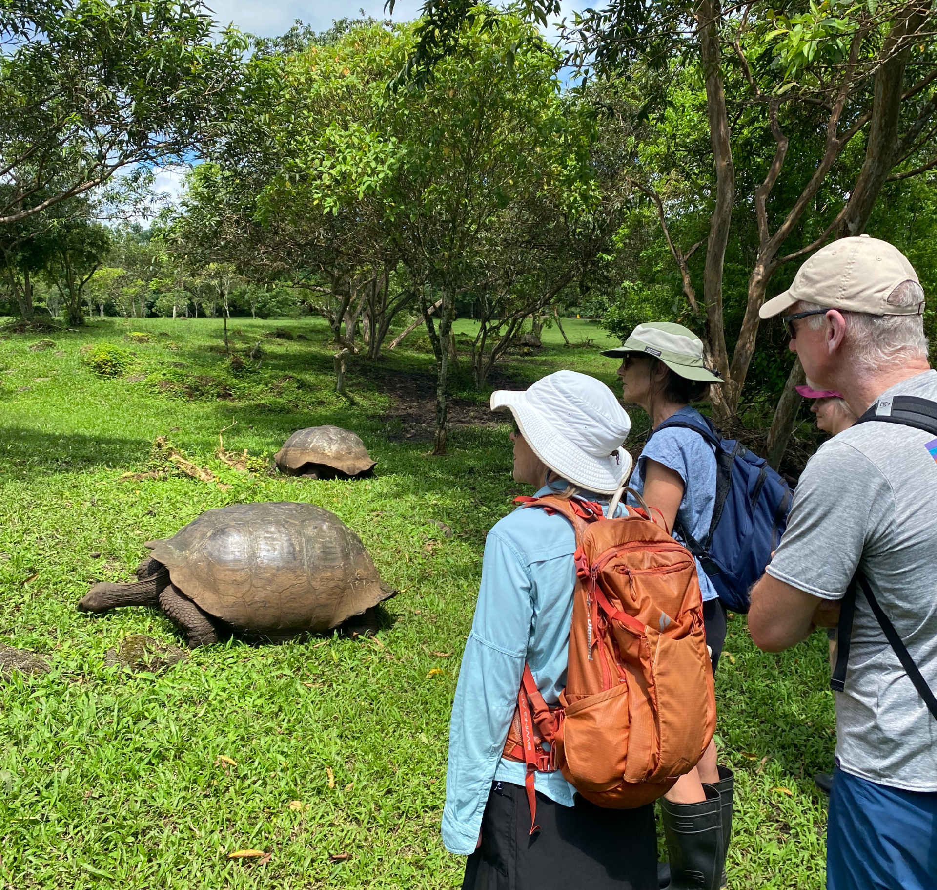 Santa Cruz Highlands Tour