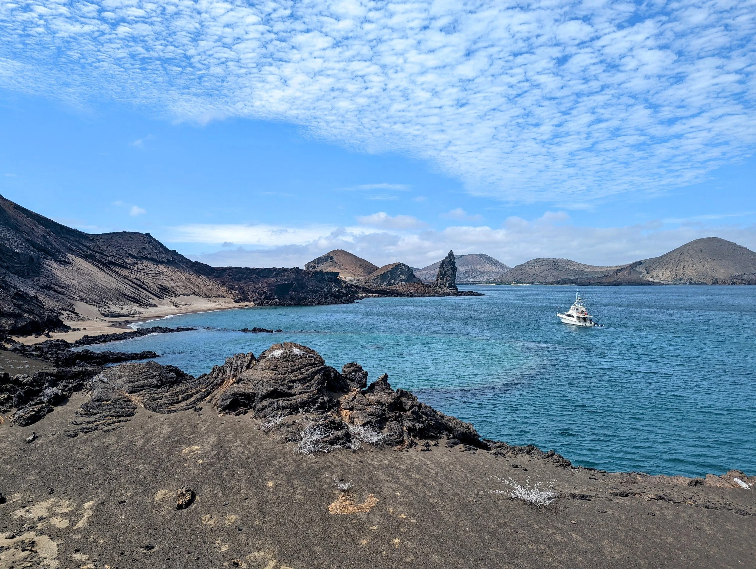 PXL_20211212_145700559~2 (1).jpg