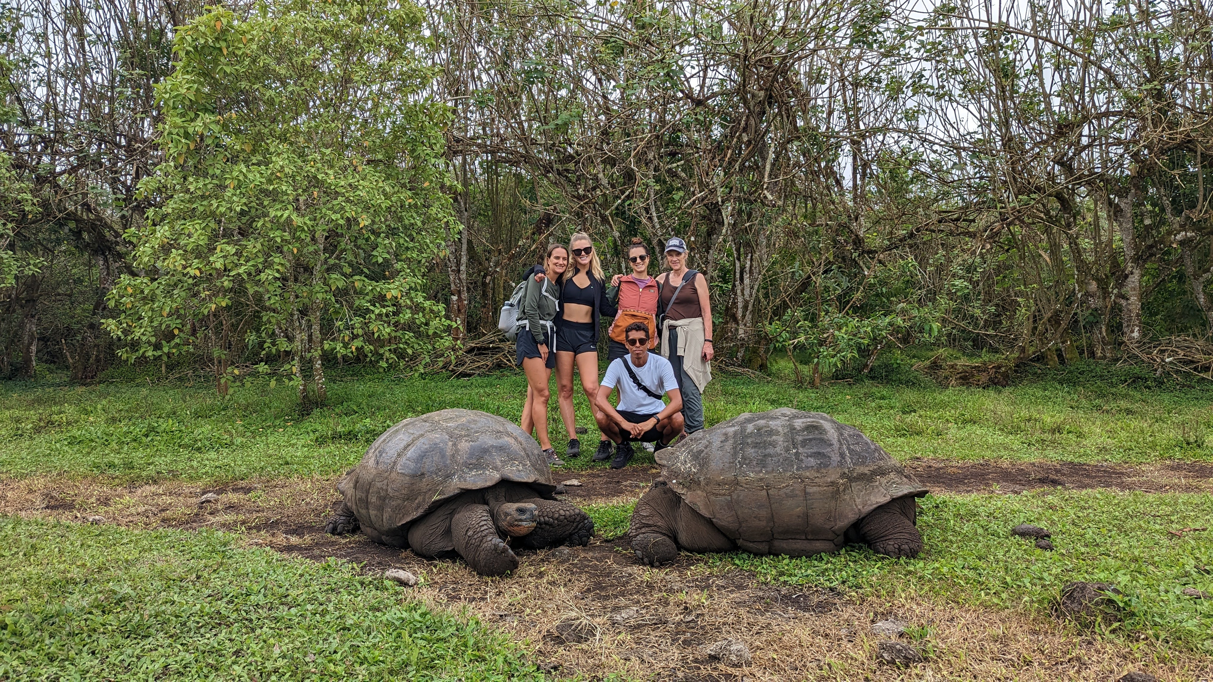 family-posing-with-giant-tortoises.webp