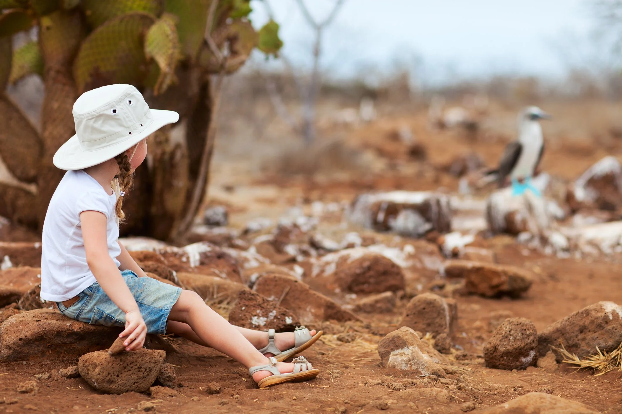 Young girl sitting near Blue-footed Booby in Galapagos
