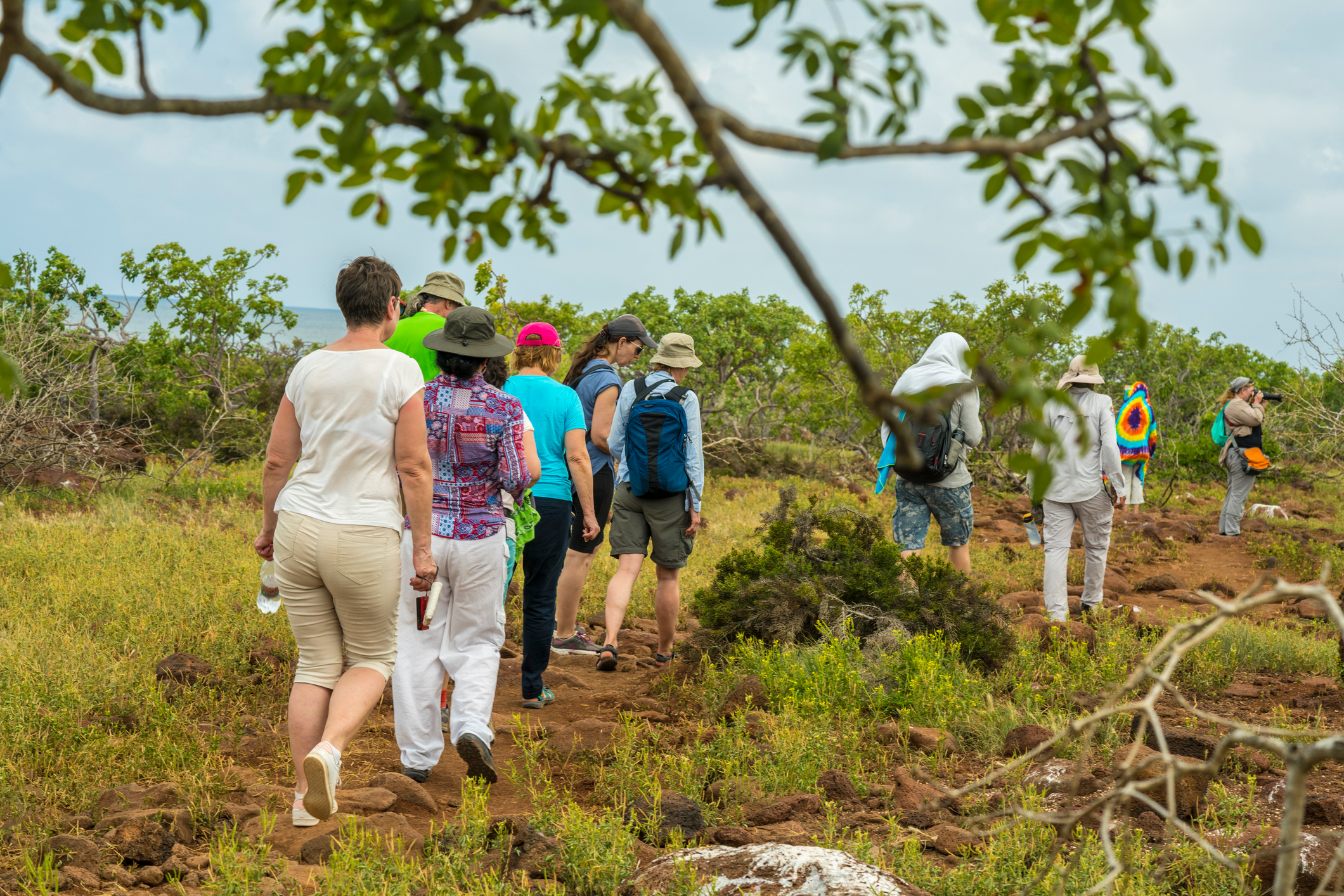 tourists-on-north-seymour-island-tour.webp