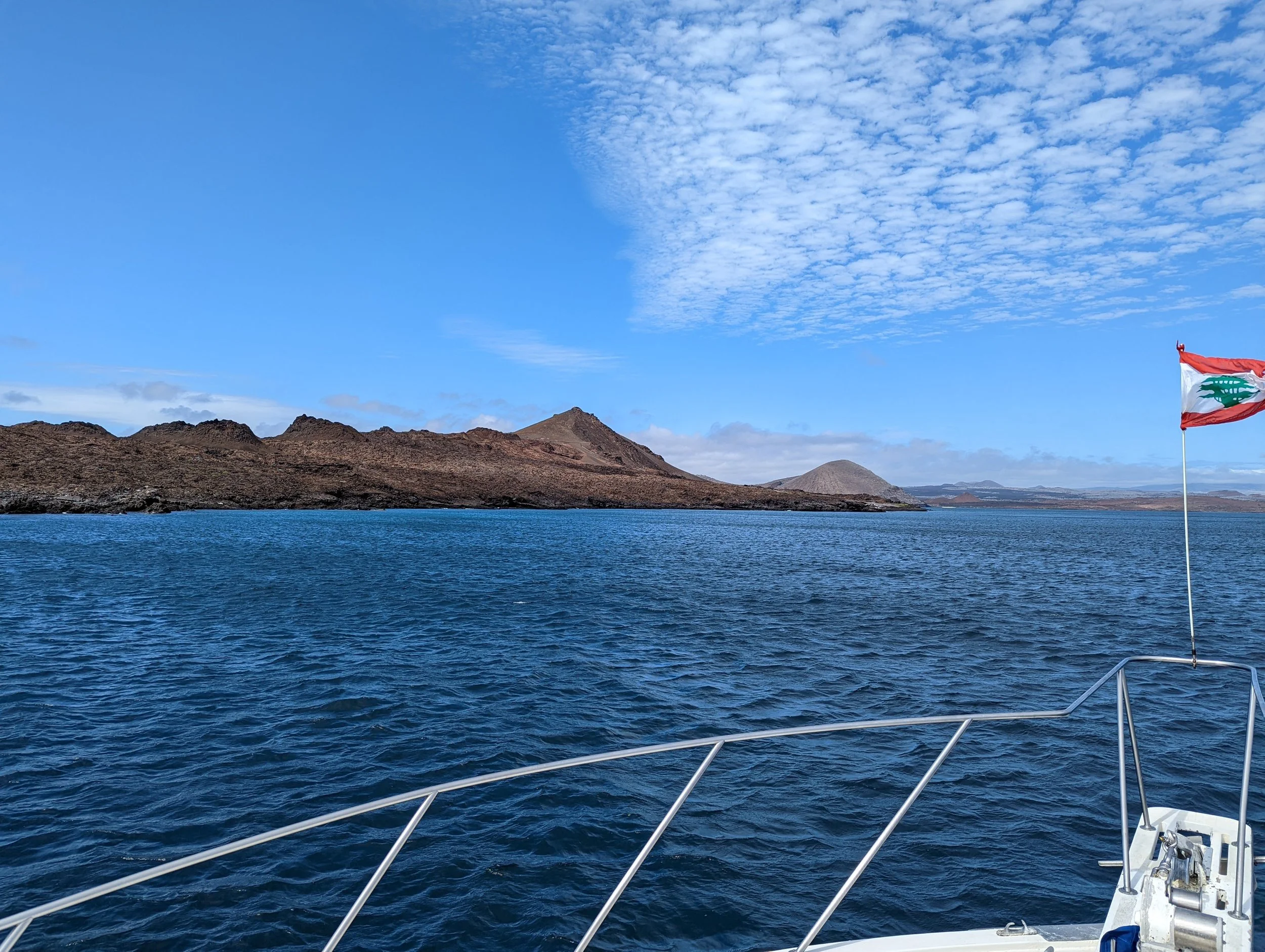 PXL_20211212_144102776 (2).jpg