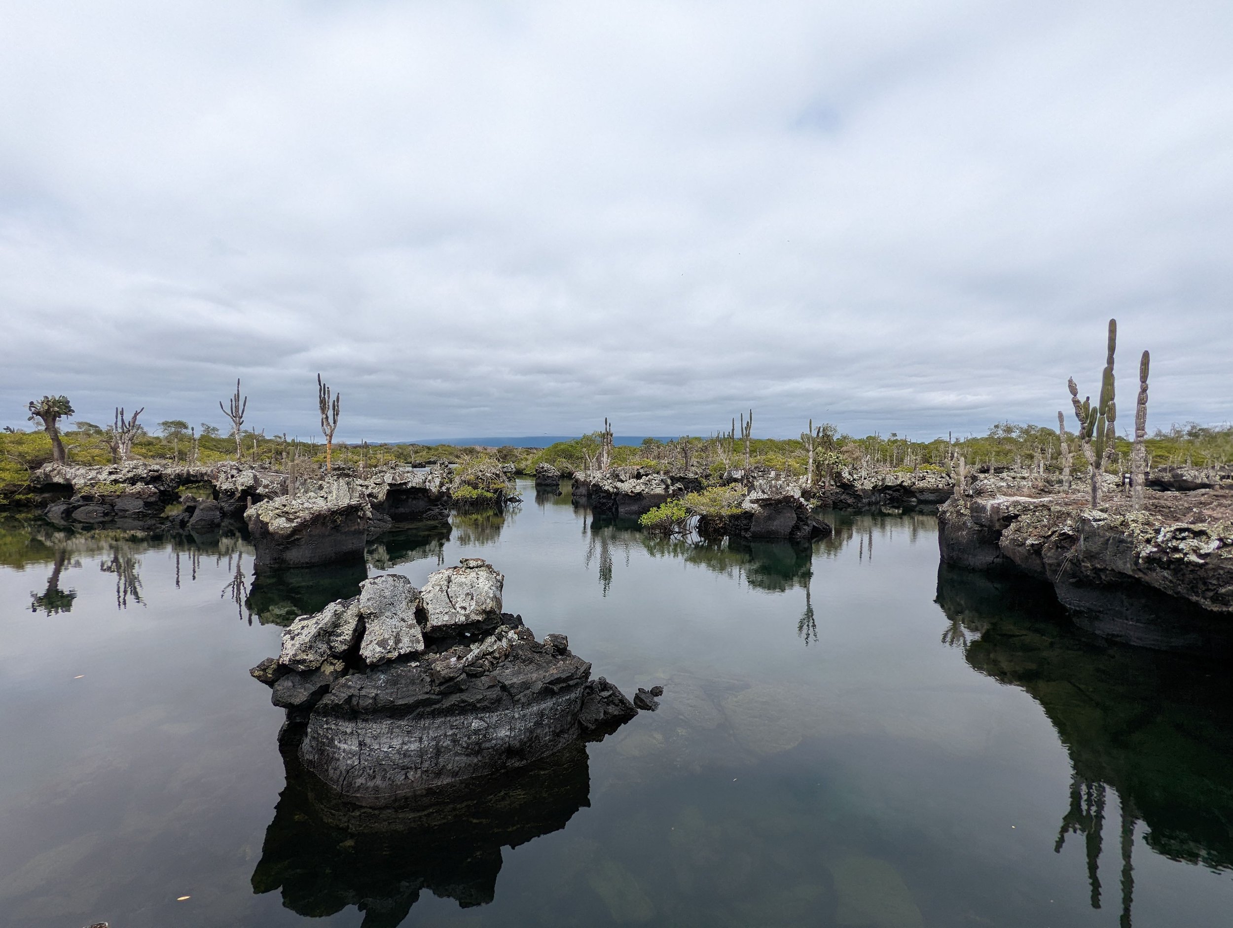 PXL_20211229_175441219 (1).jpg