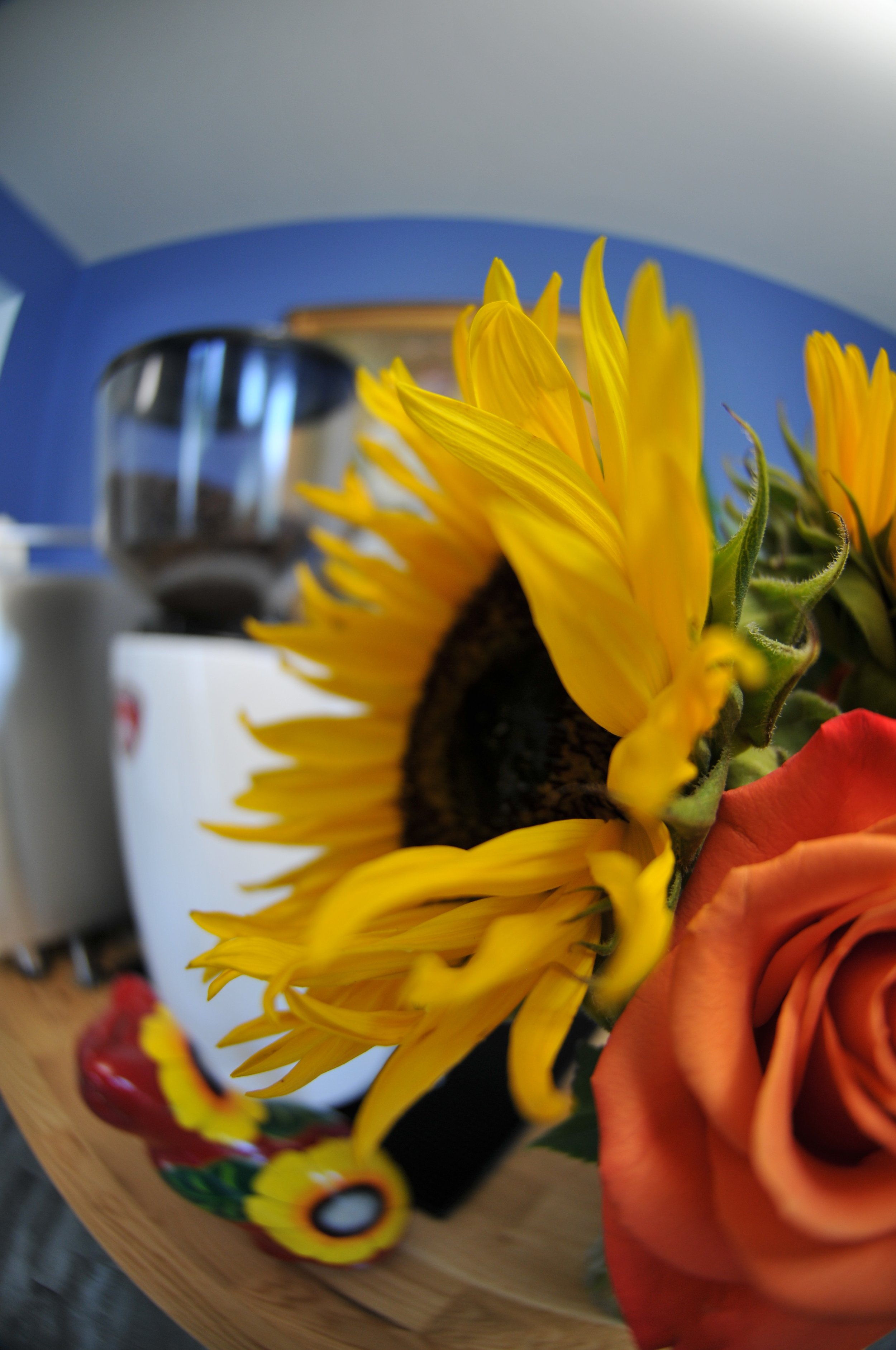 Signature Gourmet Espresso Bar