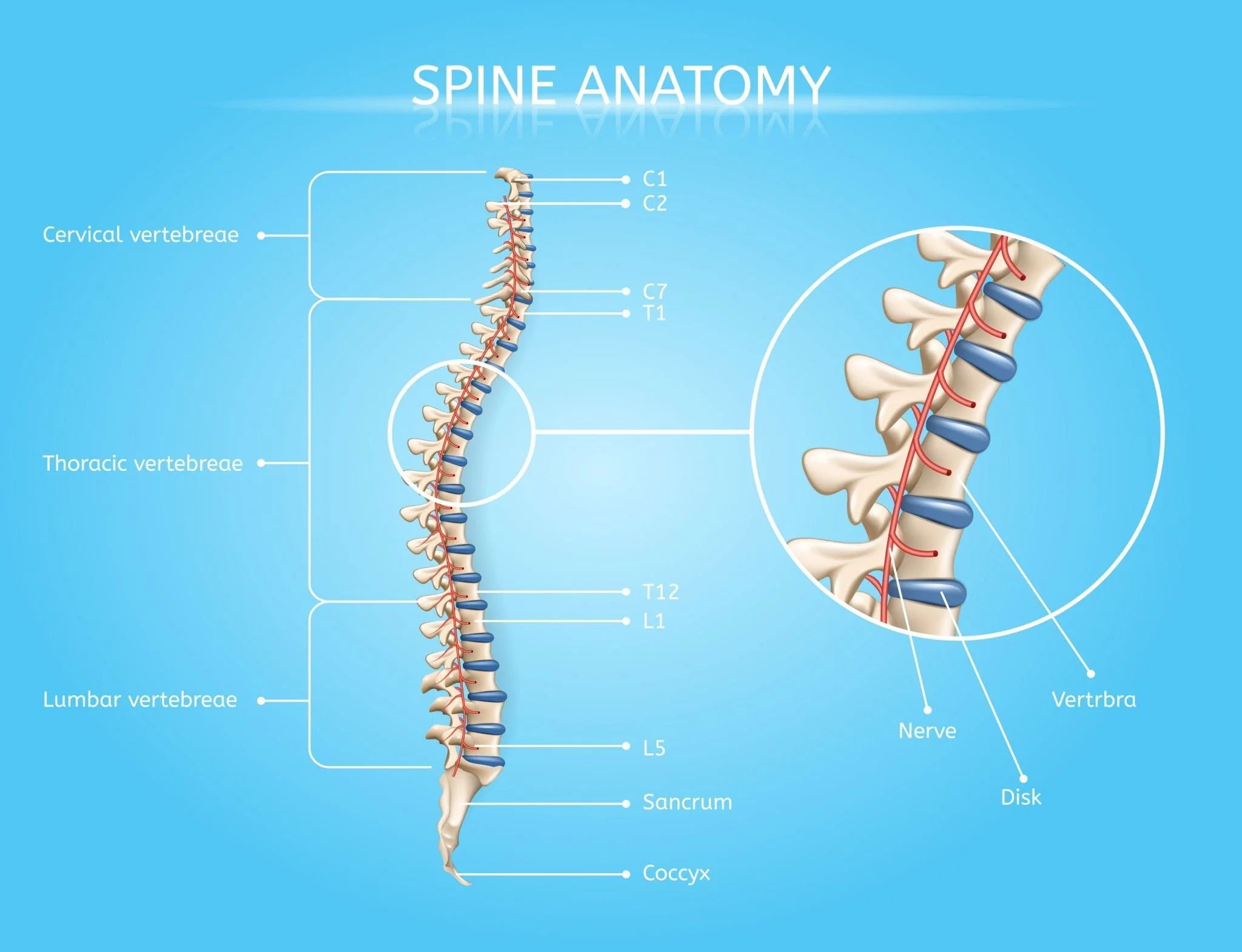 lower back pain, disc bulges, disc hernations, sciatica, neck pain, cervical instability