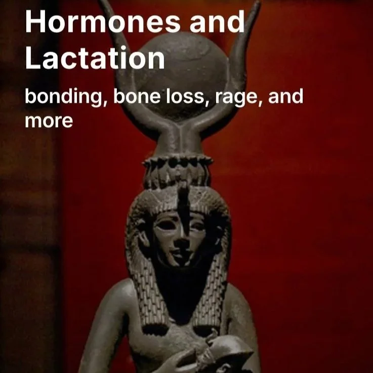 Hormones and Lactation
