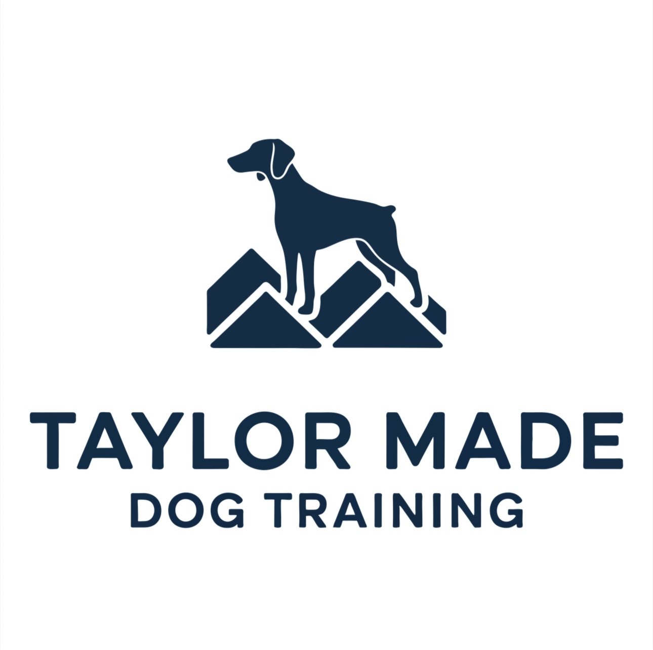 Taylor-Made Dog Training 