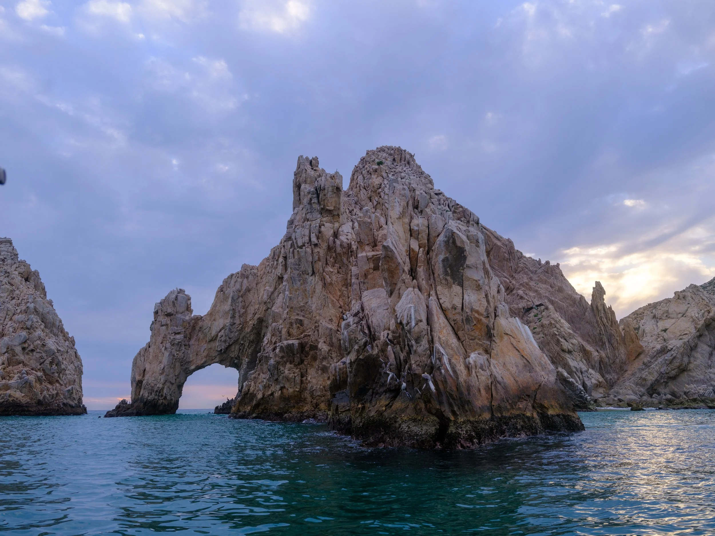 Cabo San Lucas 20260204 Rendon-00649.jpg