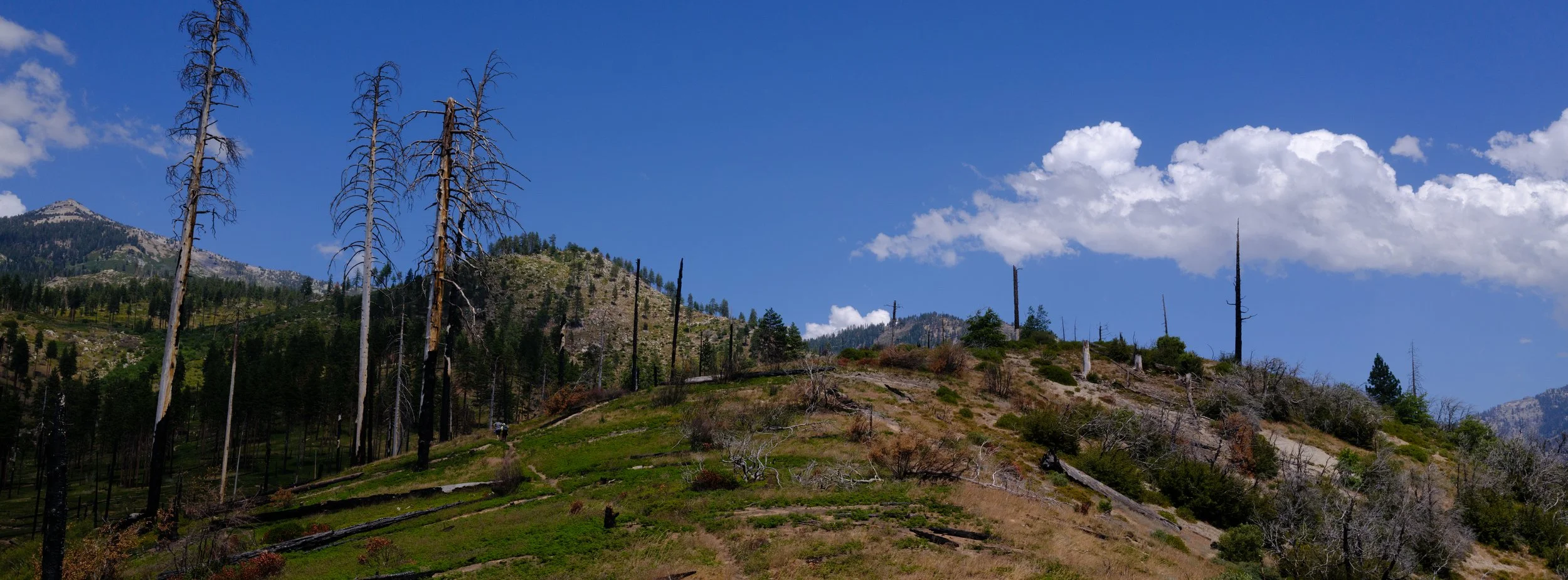 DSCF2908.jpg