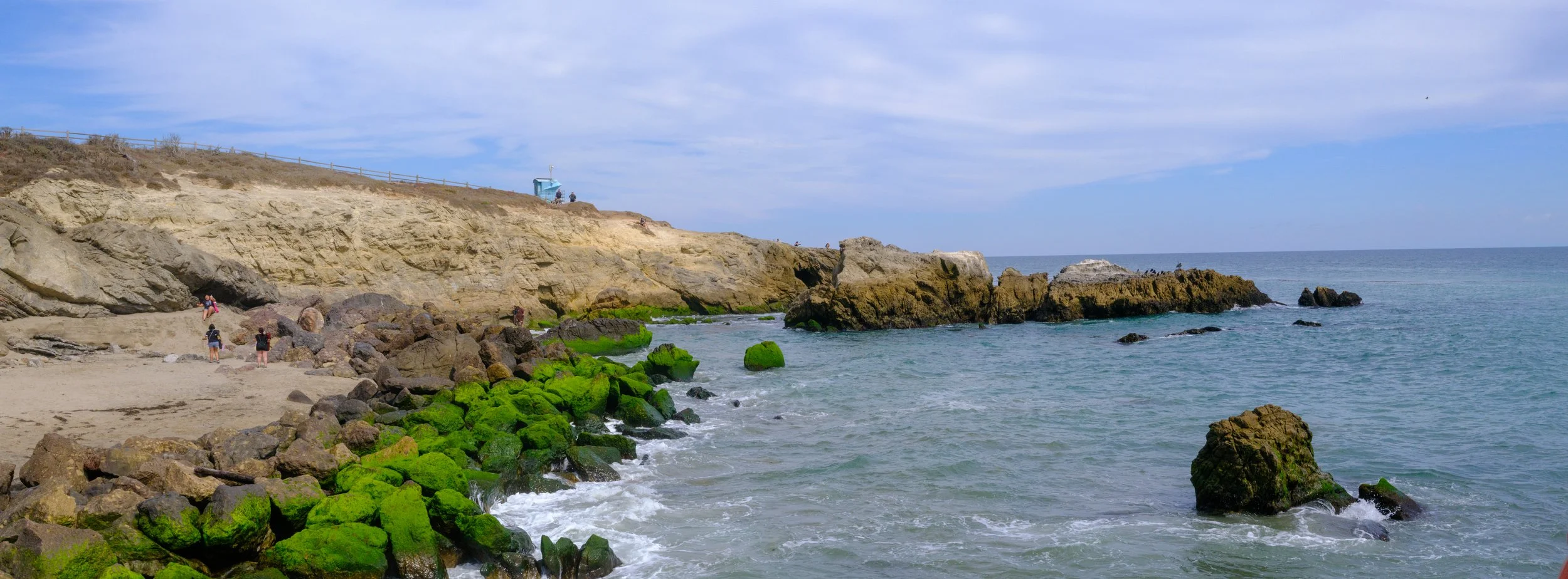 DSCF3383.jpg