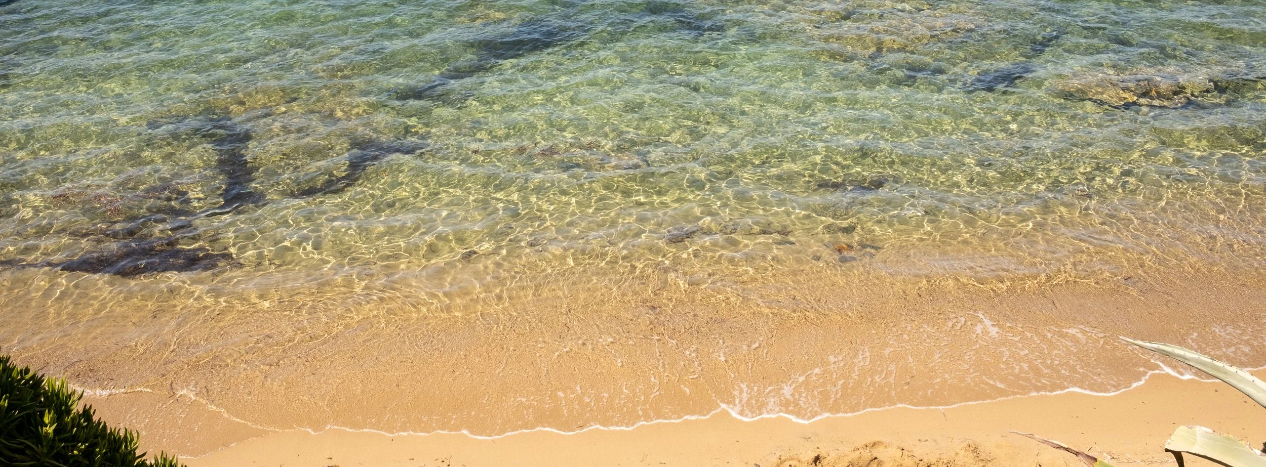 DSCF6264.jpg