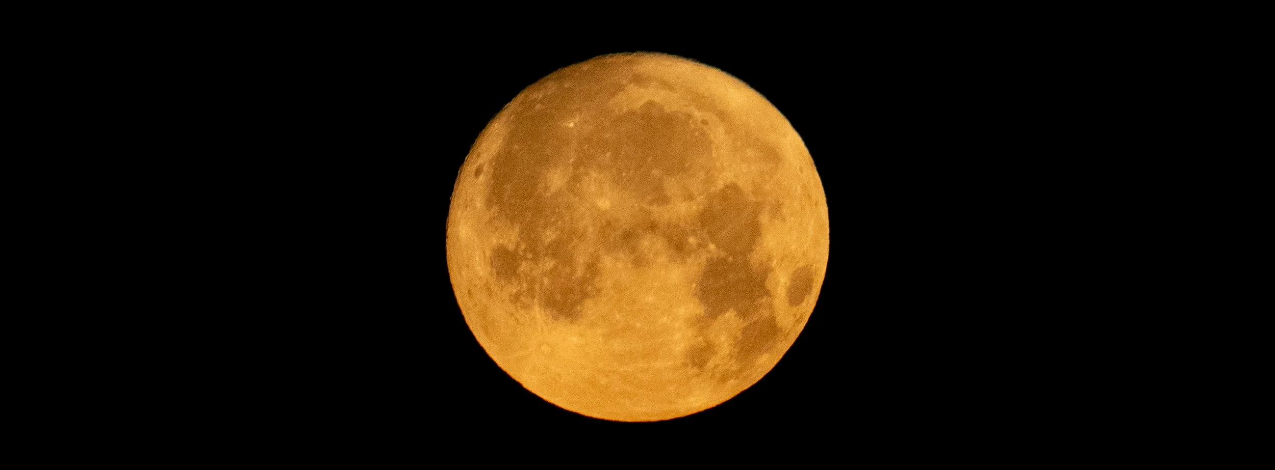 FCR02341.jpg